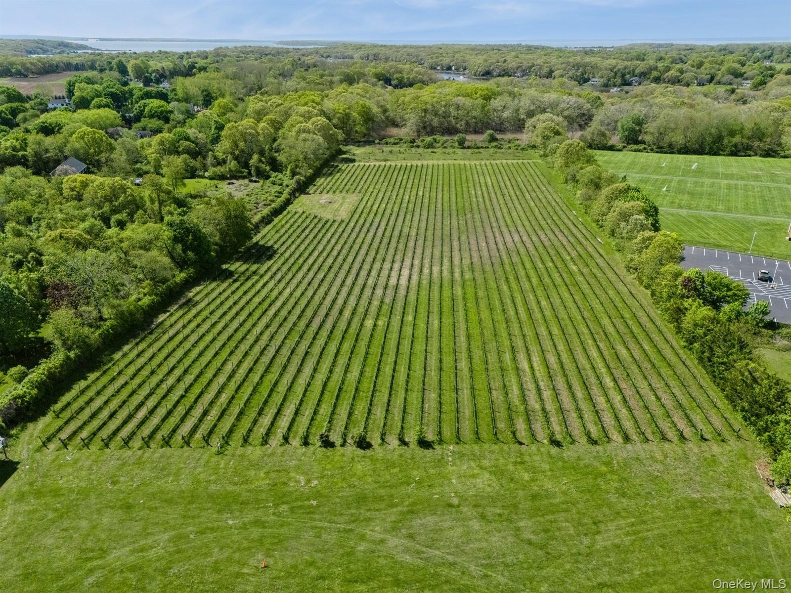 Single Family Main Suffolk County, NY 11935, MLS-900202-4