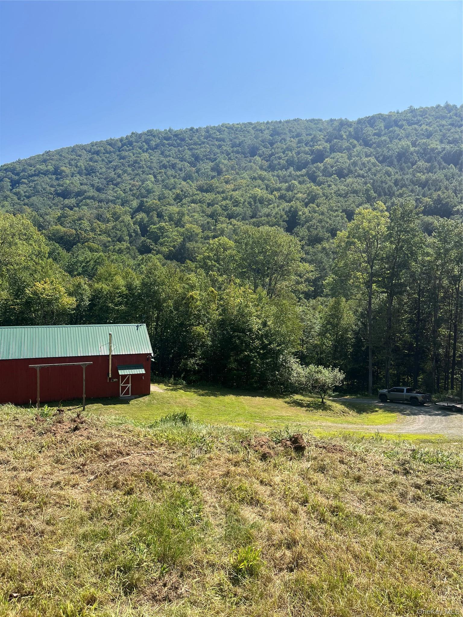 Single Family Basket Brook Rd  Sullivan County, NY 12760, MLS-900266-11