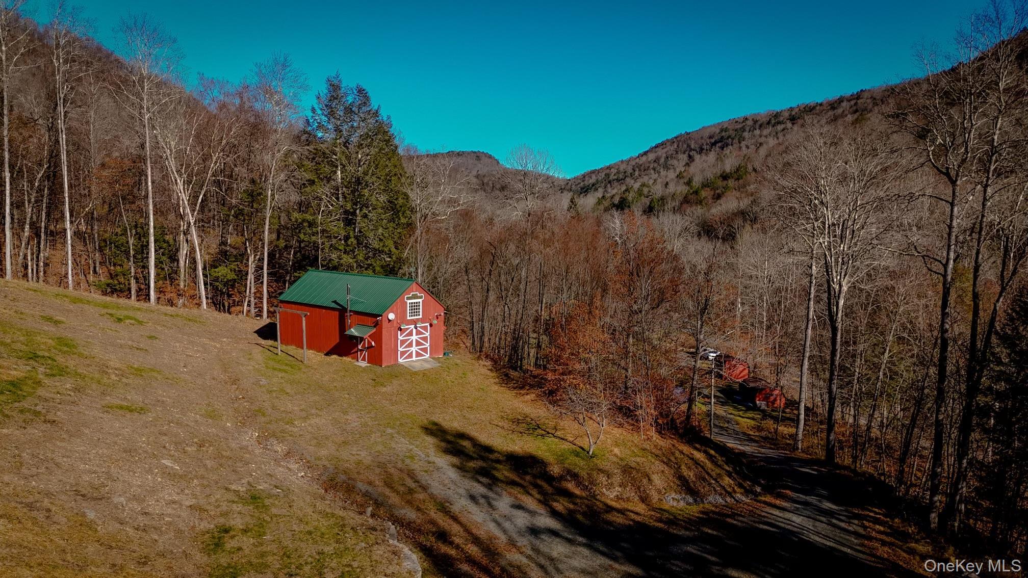 Single Family Basket Brook Rd  Sullivan County, NY 12760, MLS-900266-28