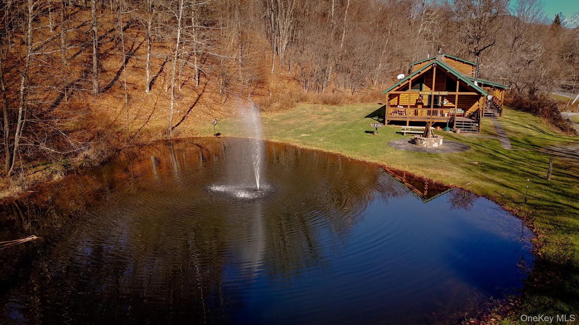Single Family Basket Brook Rd  Sullivan County, NY 12760, MLS-900266-3