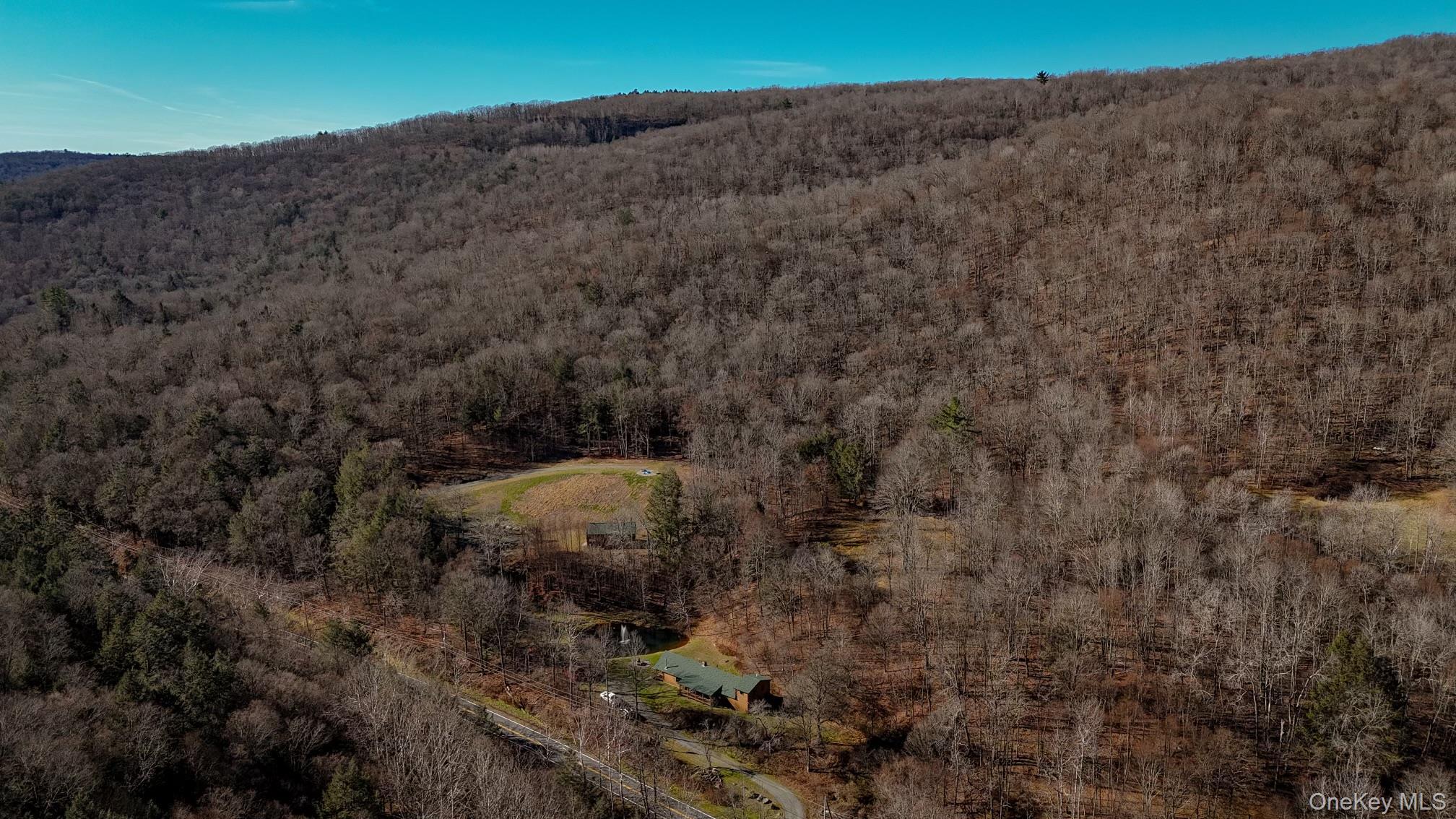 Single Family Basket Brook Rd  Sullivan County, NY 12760, MLS-900266-30