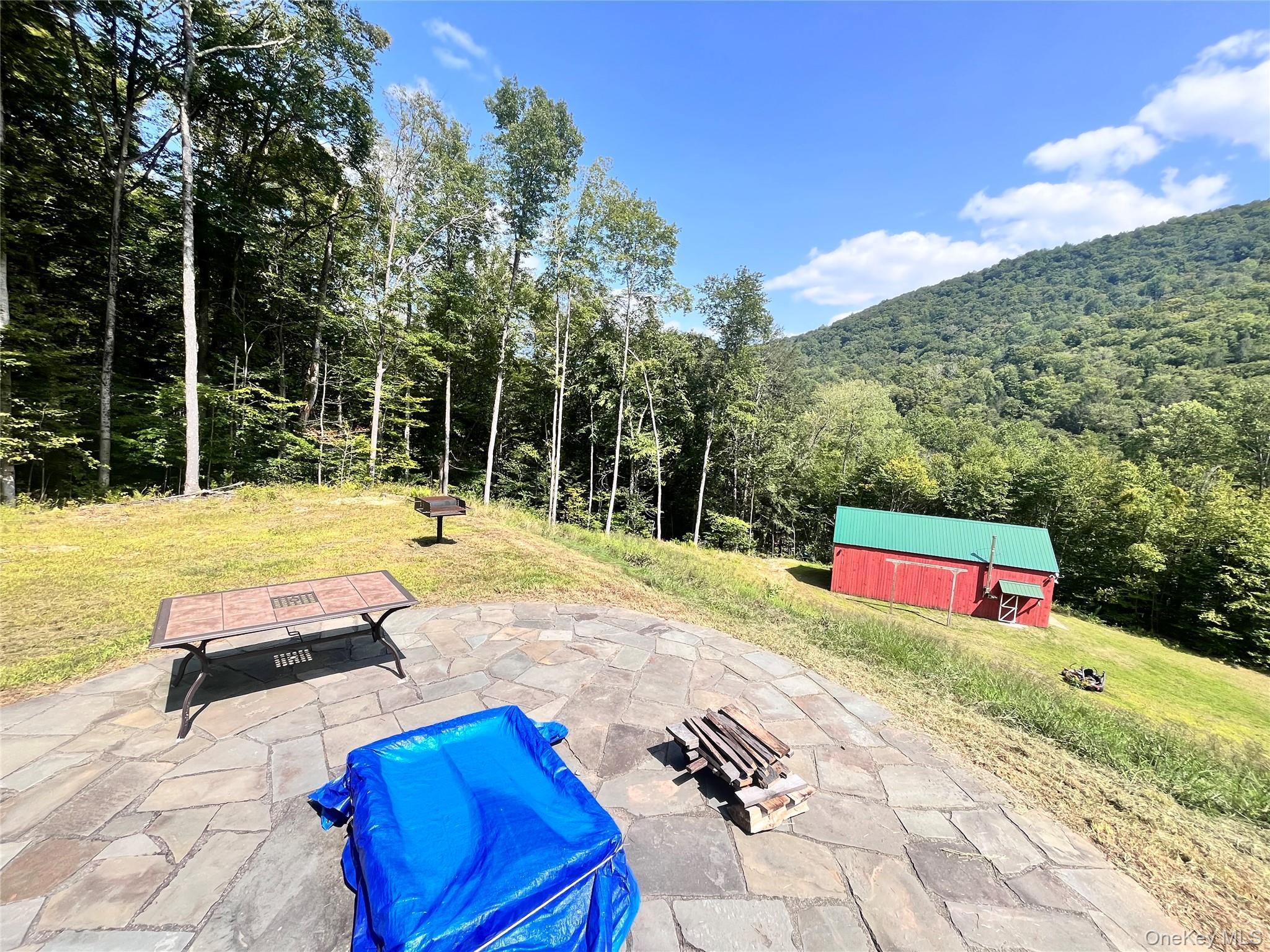 Single Family Basket Brook Rd  Sullivan County, NY 12760, MLS-900266-31