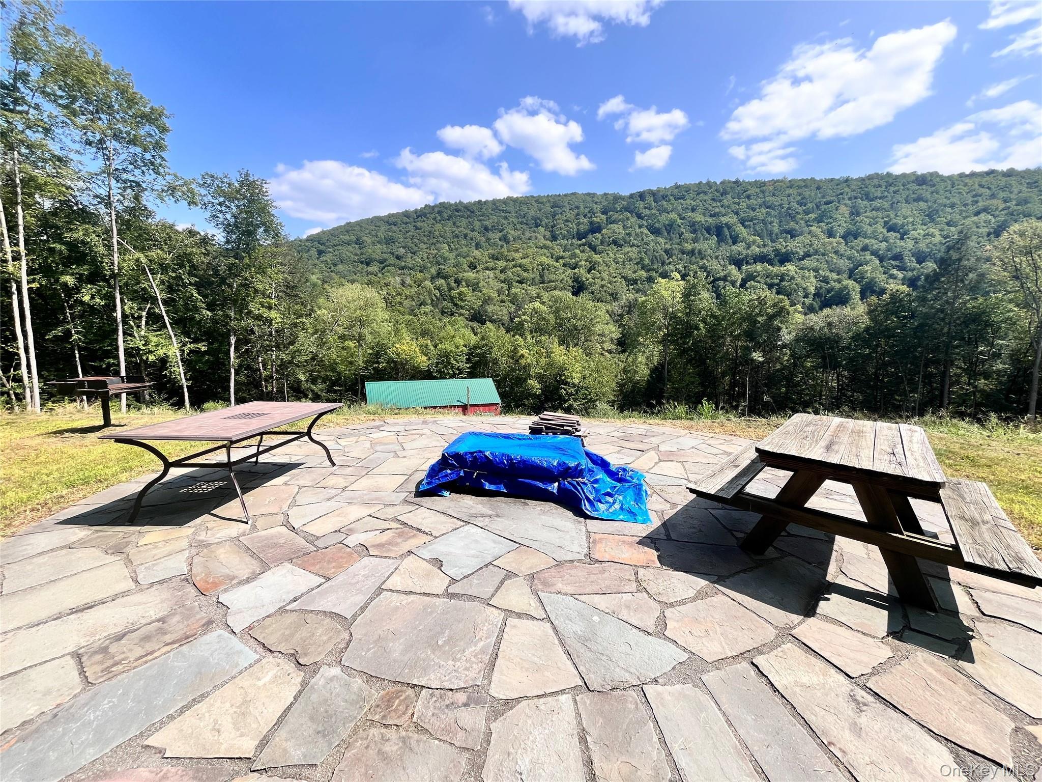 Single Family Basket Brook Rd  Sullivan County, NY 12760, MLS-900266-32