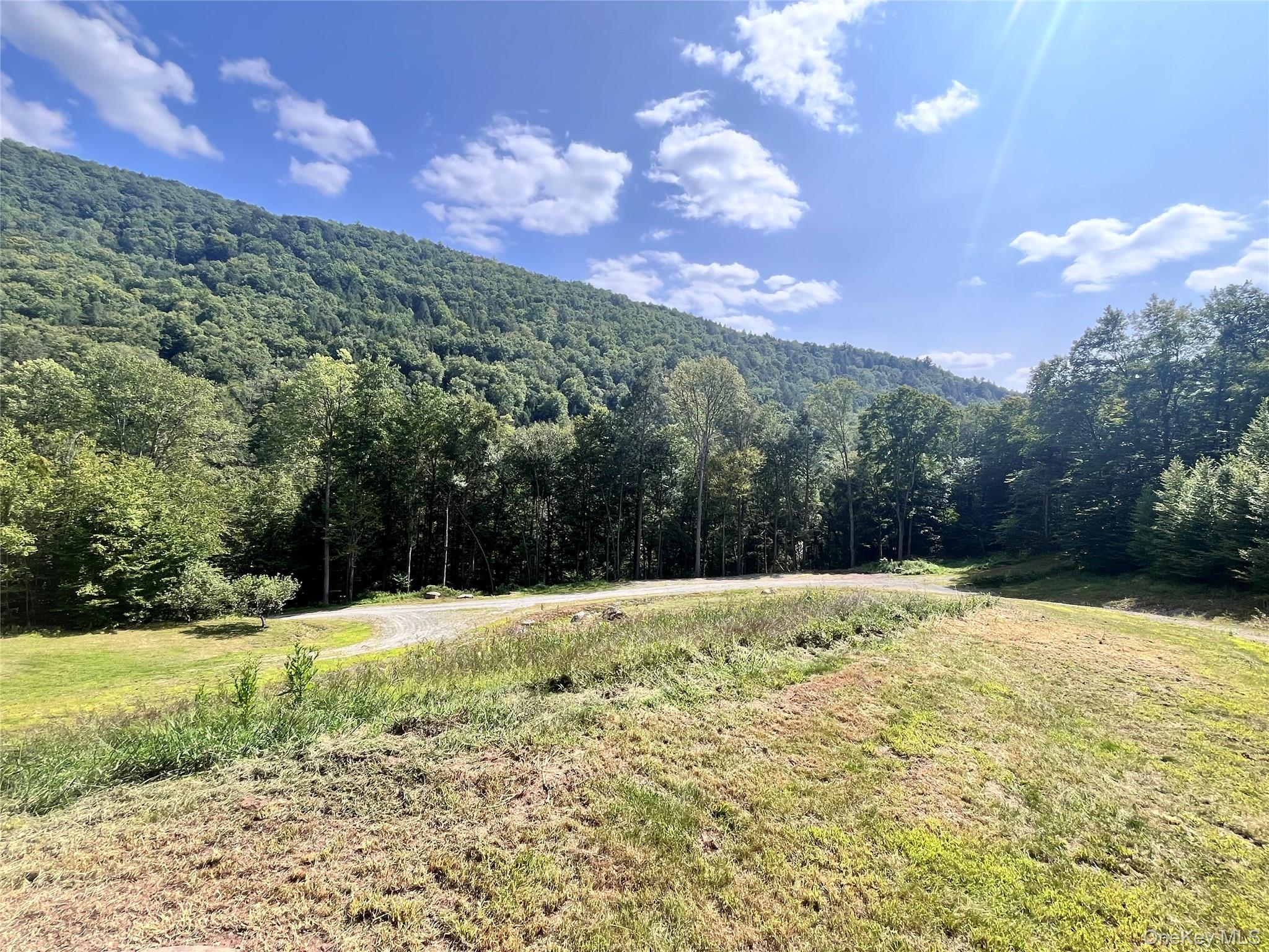 Single Family Basket Brook Rd  Sullivan County, NY 12760, MLS-900266-33