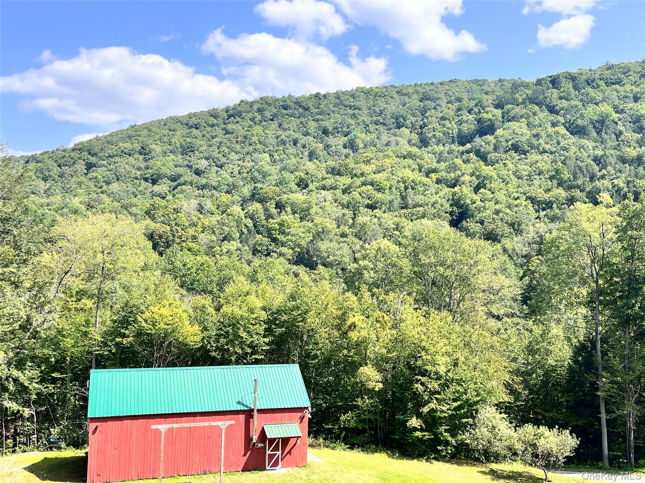 Single Family Basket Brook Rd  Sullivan County, NY 12760, MLS-900266-34