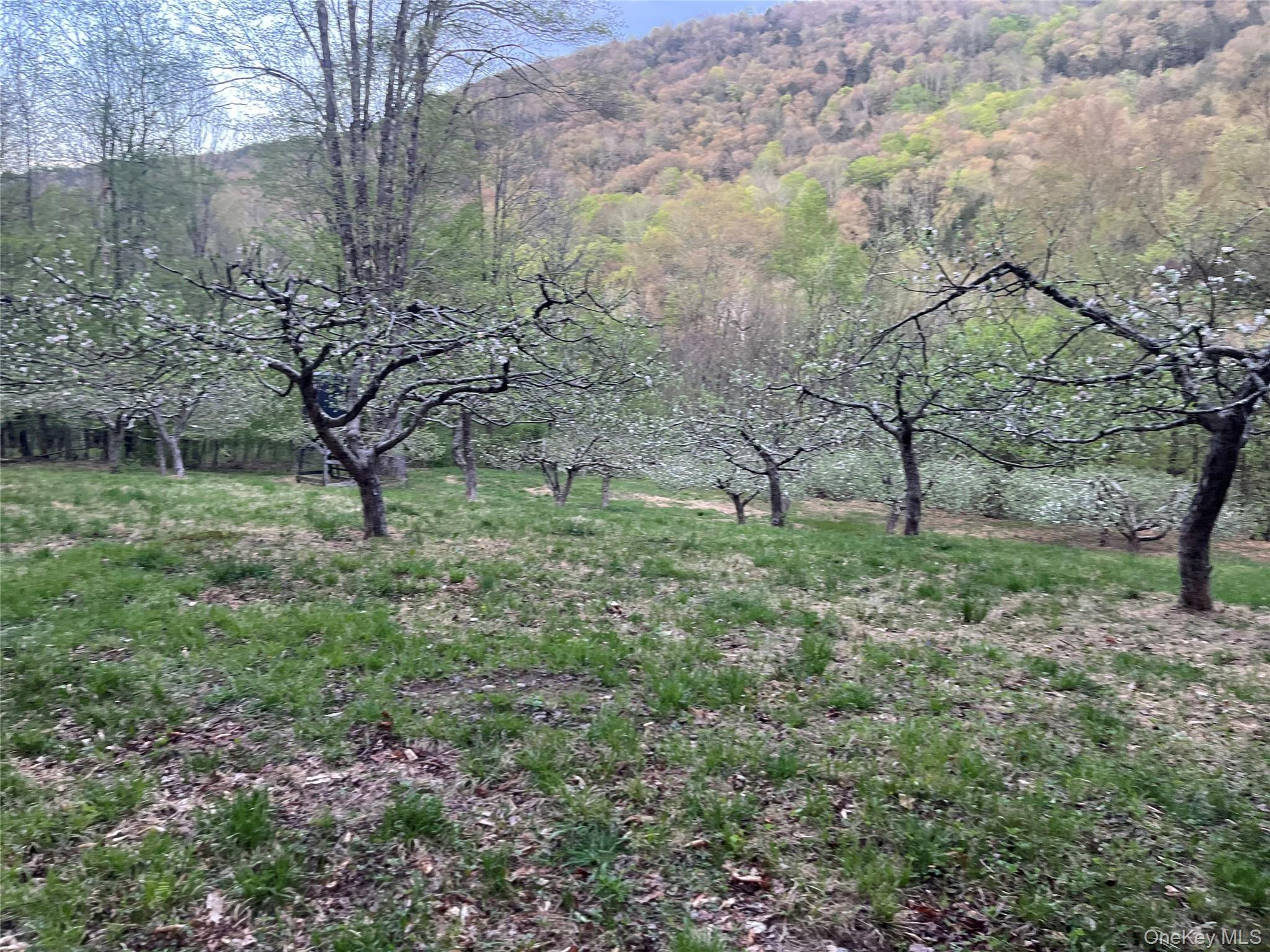 Single Family Basket Brook Rd  Sullivan County, NY 12760, MLS-900266-35