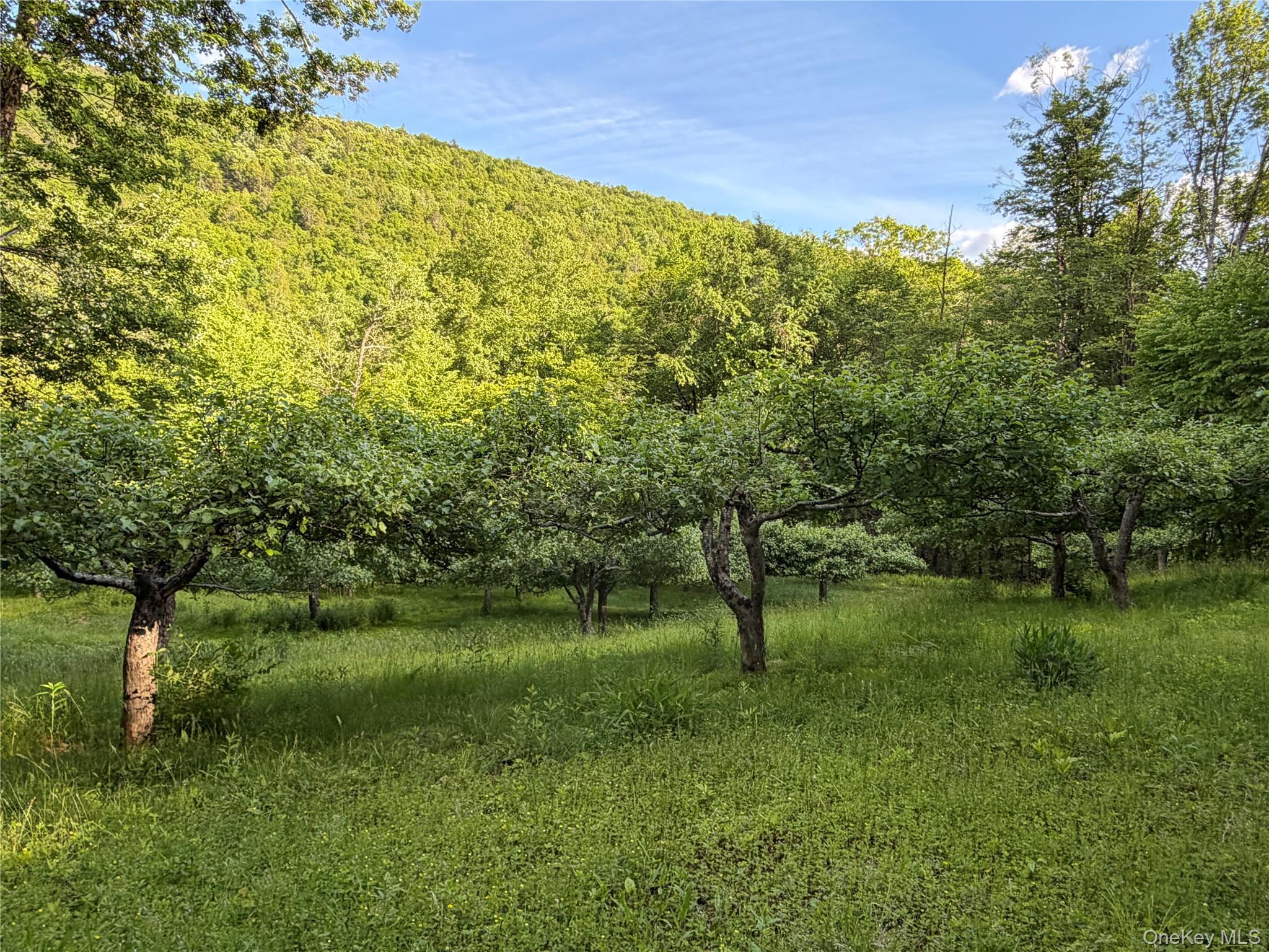 Single Family Basket Brook Rd  Sullivan County, NY 12760, MLS-900266-36