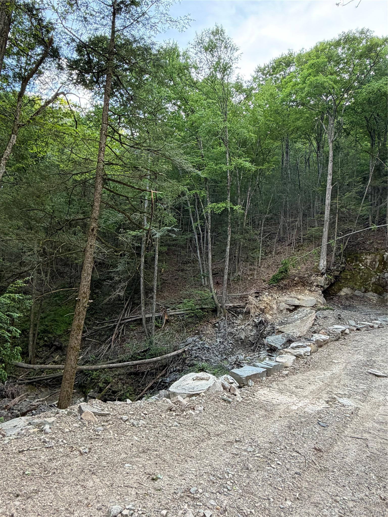 Single Family Basket Brook Rd  Sullivan County, NY 12760, MLS-900266-37
