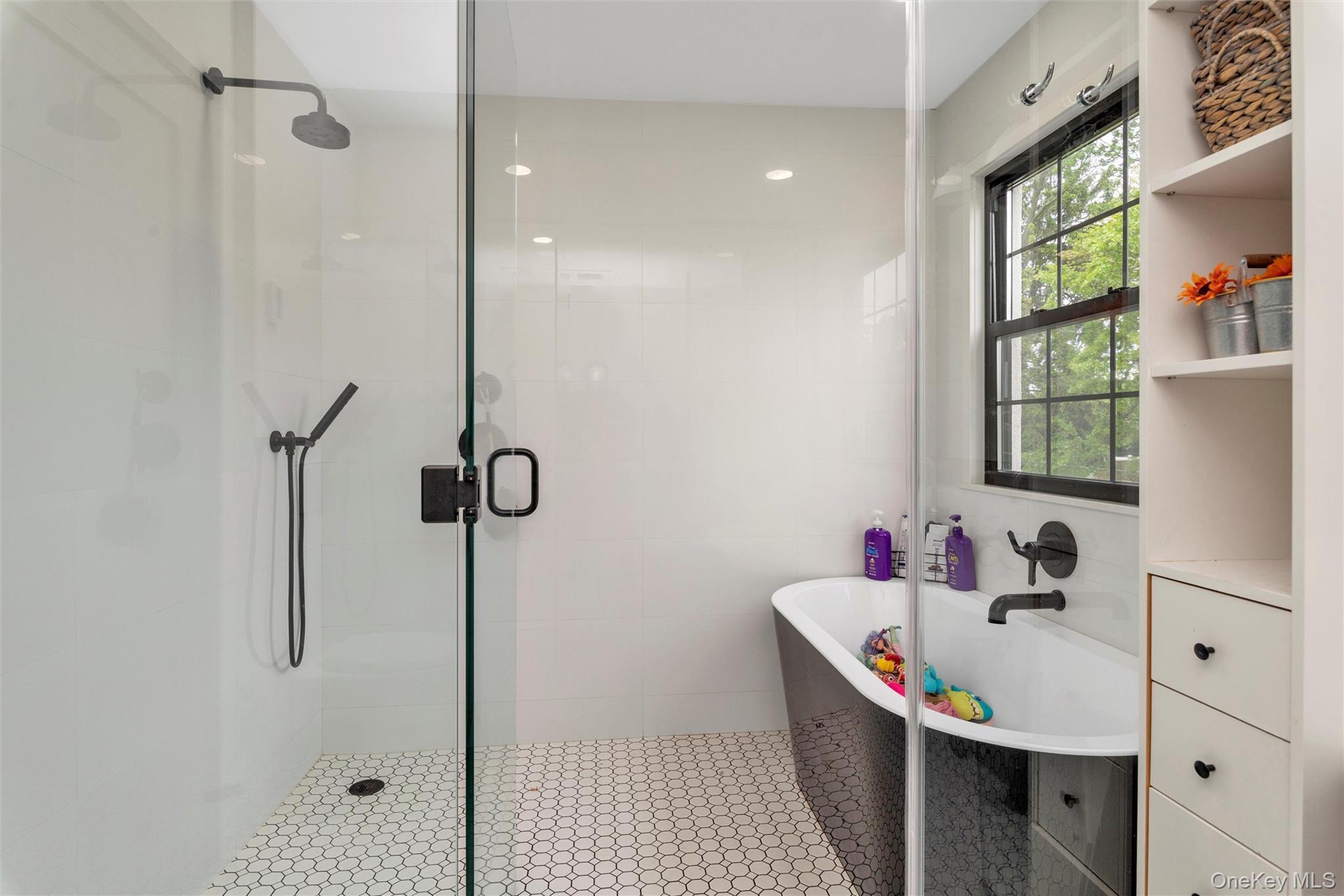 Single Family Family Nassau County, NY 11756, MLS-900318-24