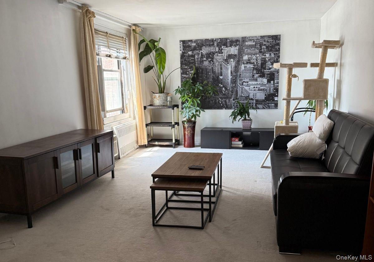 Coop Austin  Queens, NY 11374, MLS-900338-11