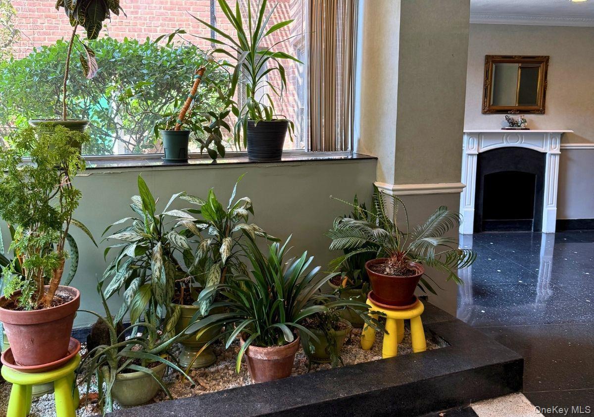 Coop Austin  Queens, NY 11374, MLS-900338-5