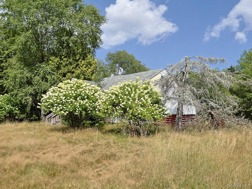 Single Family State Route 42  Sullivan County, NY 12701, MLS-900533-3
