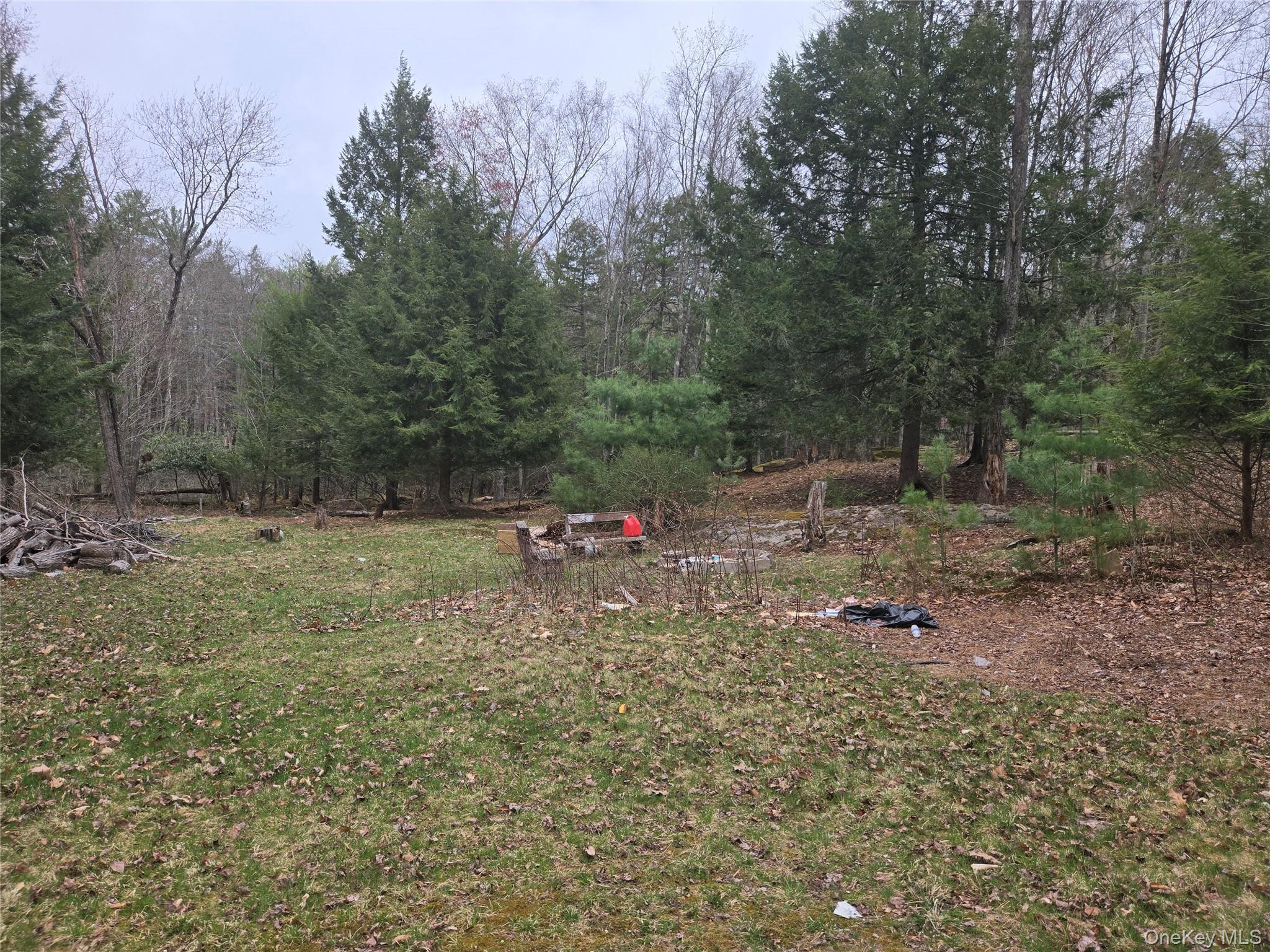 Single Family Skunk Hollow Sullivan County, NY 12779, MLS-900538-4