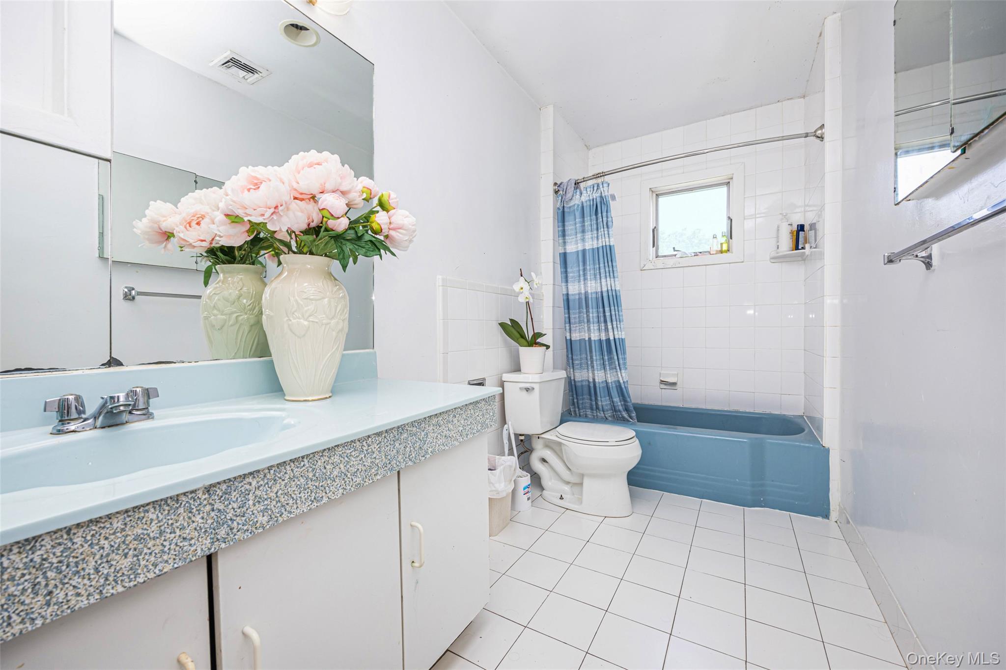 Single Family Middle Neck Nassau County, NY 11576, MLS-900548-22