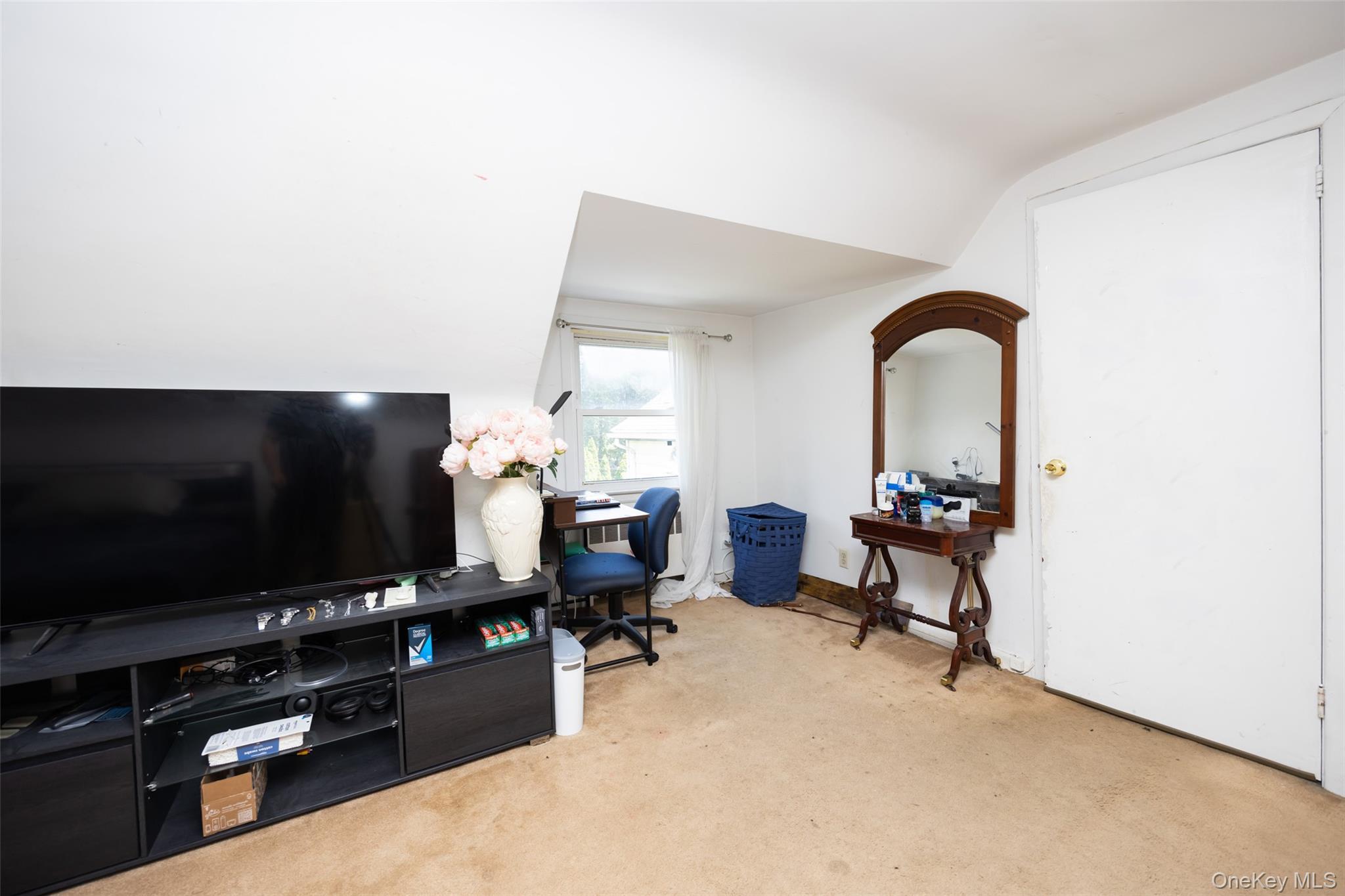 Single Family Middle Neck Nassau County, NY 11576, MLS-900548-26