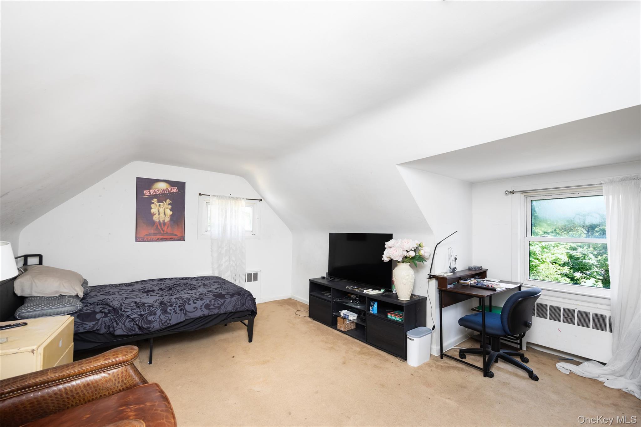 Single Family Middle Neck Nassau County, NY 11576, MLS-900548-27