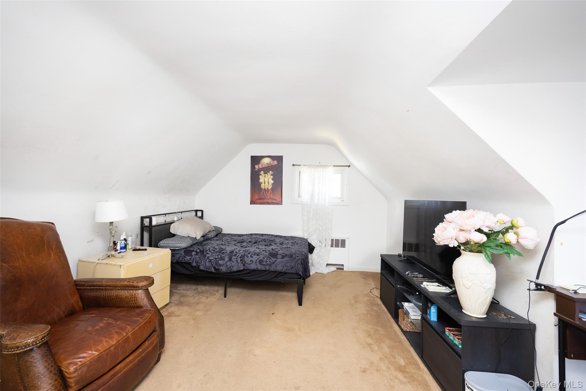 Single Family Middle Neck Nassau County, NY 11576, MLS-900548-28