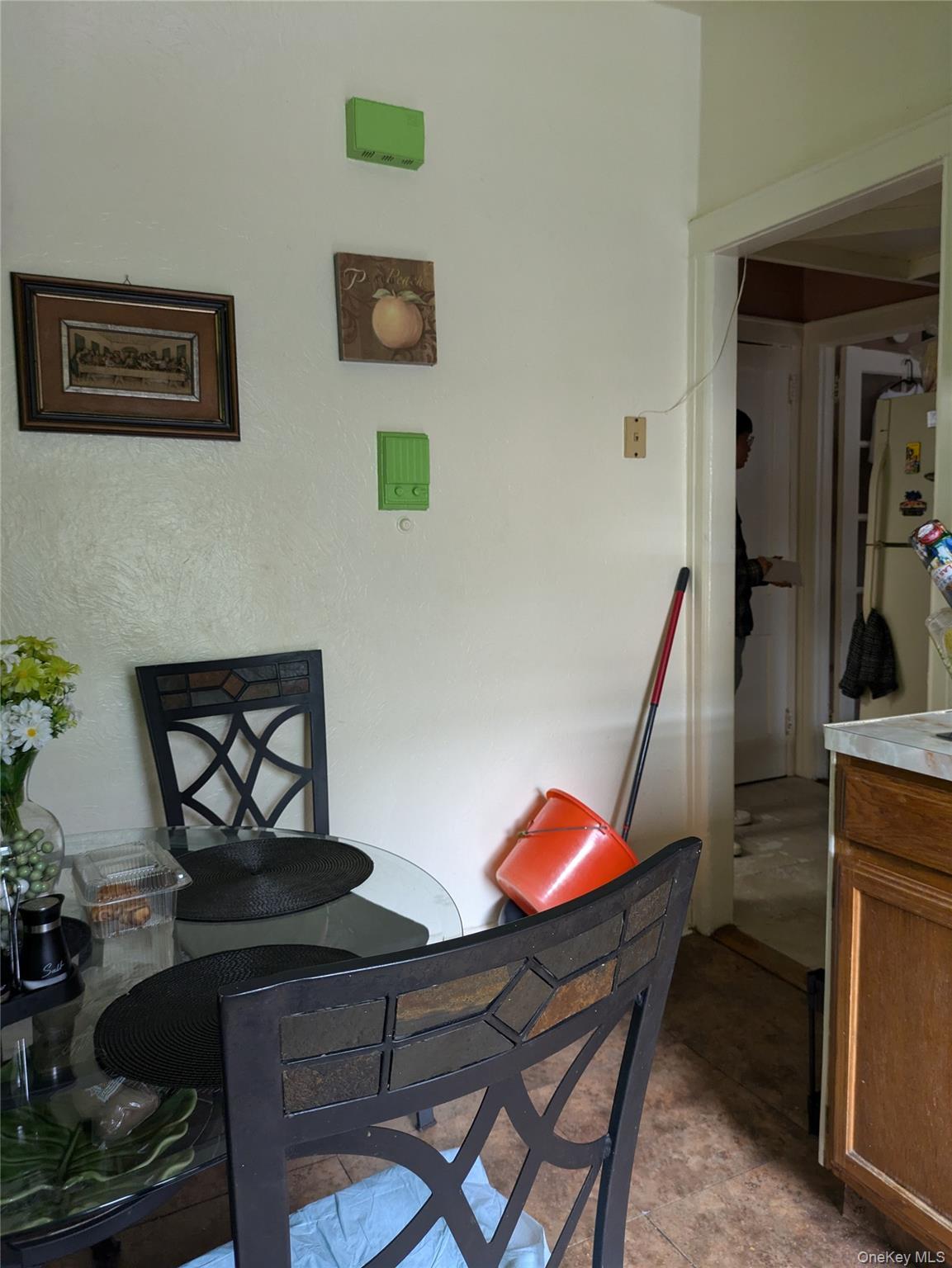 Single Family Highlawn Brooklyn, NY 11223, MLS-900571-11