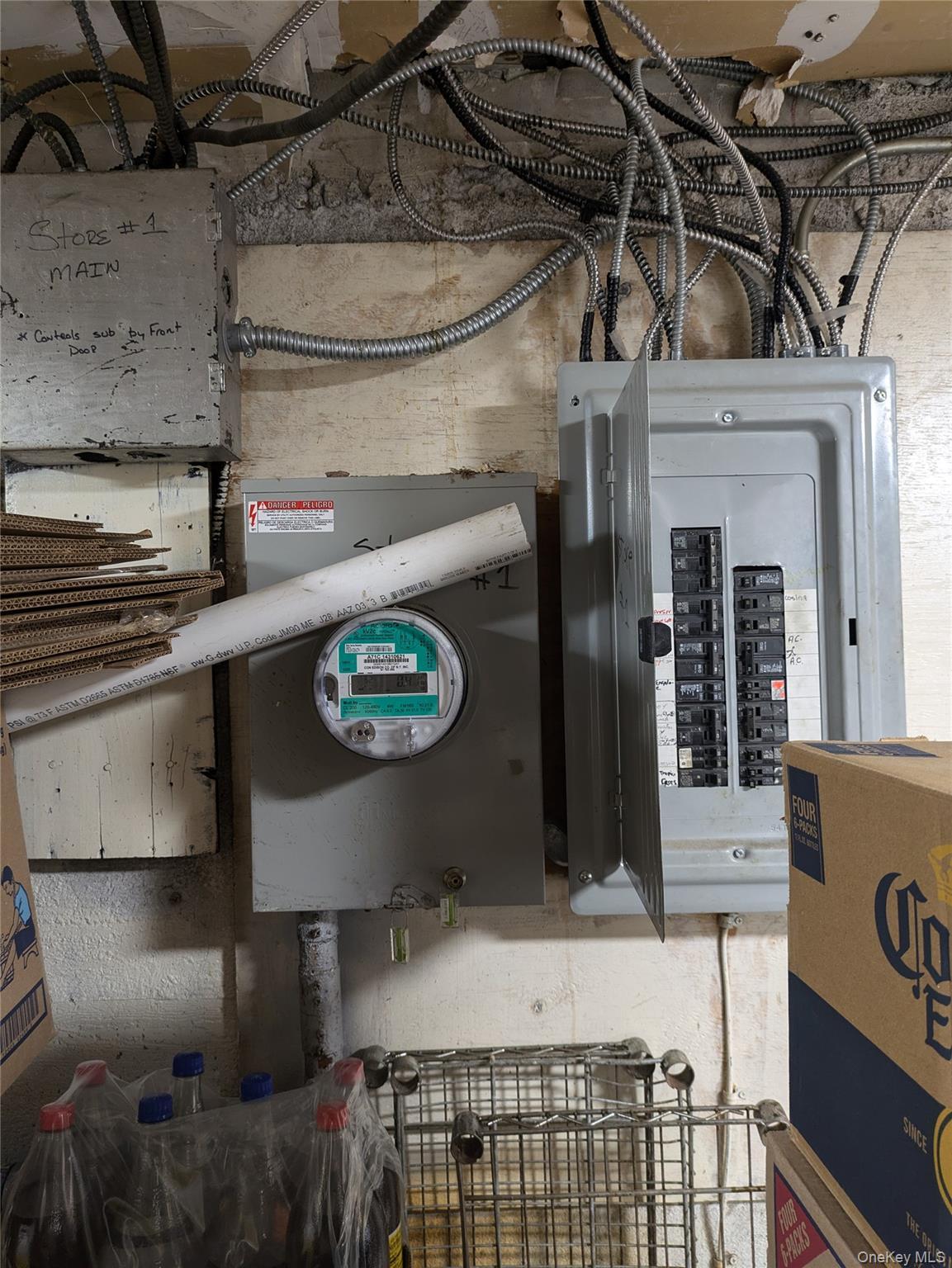 Single Family Highlawn Brooklyn, NY 11223, MLS-900571-16