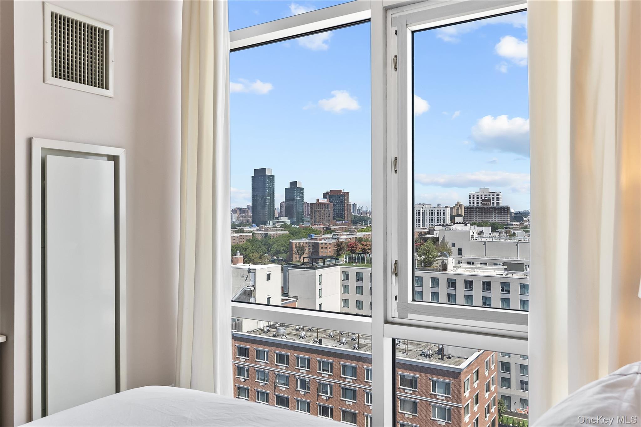 Condo 31  Queens, NY 11106, MLS-900591-18