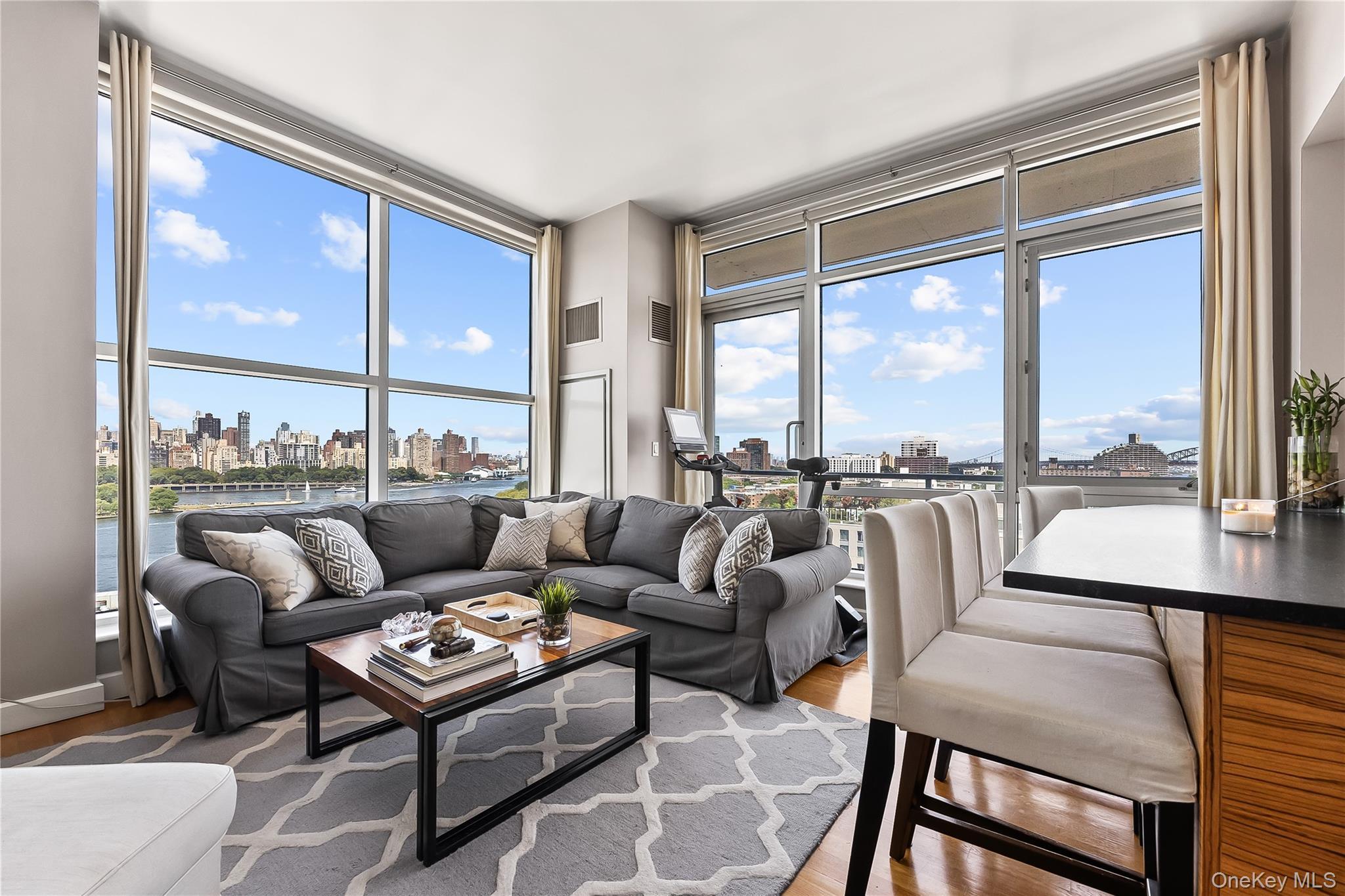Condo 31  Queens, NY 11106, MLS-900591-4