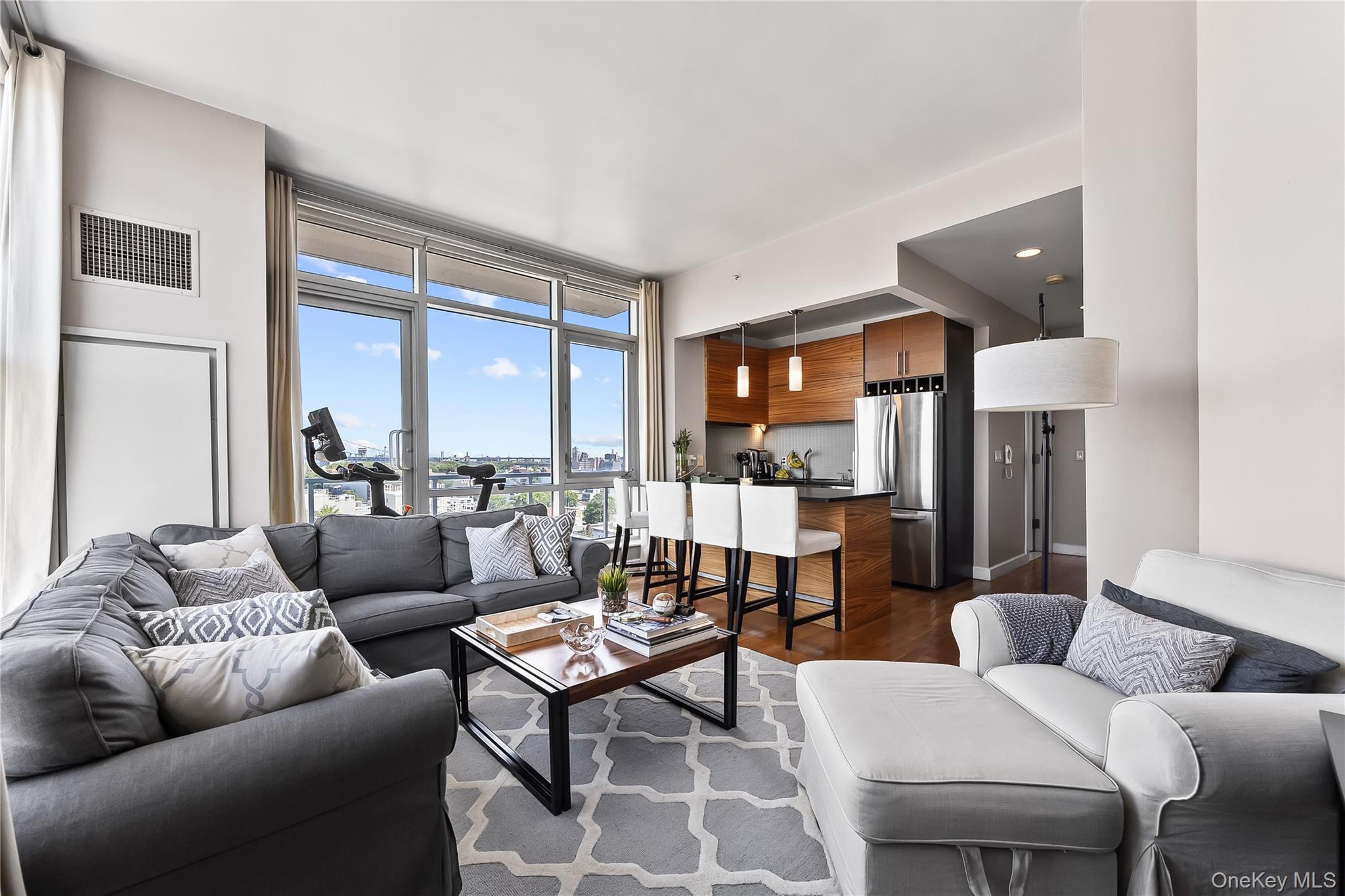 Condo 31  Queens, NY 11106, MLS-900591-5