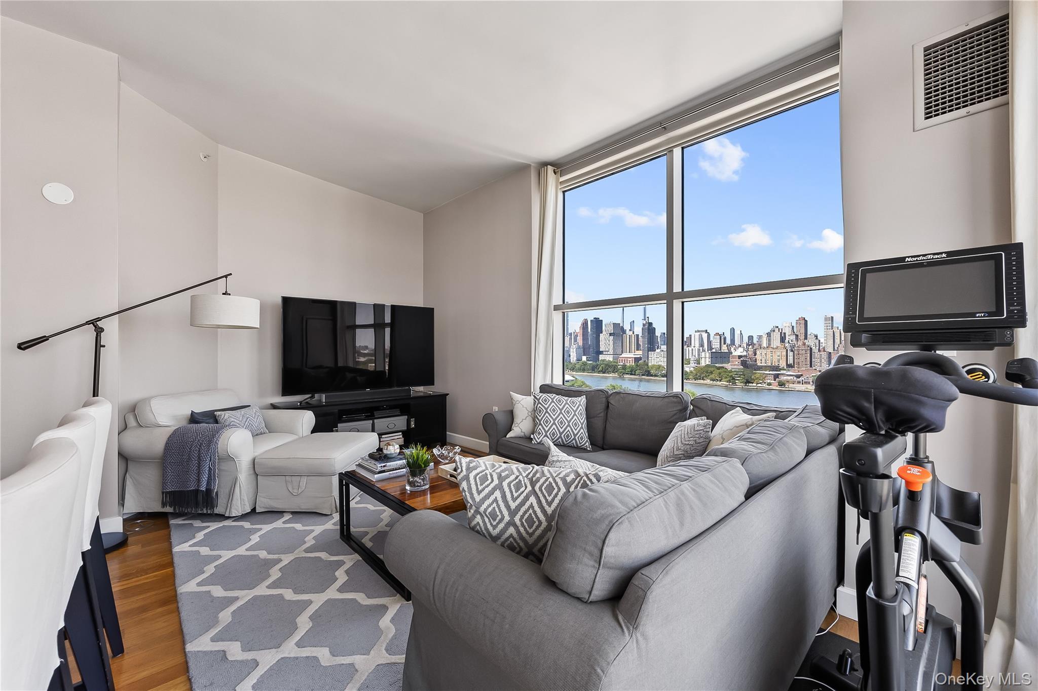 Condo 31  Queens, NY 11106, MLS-900591-7