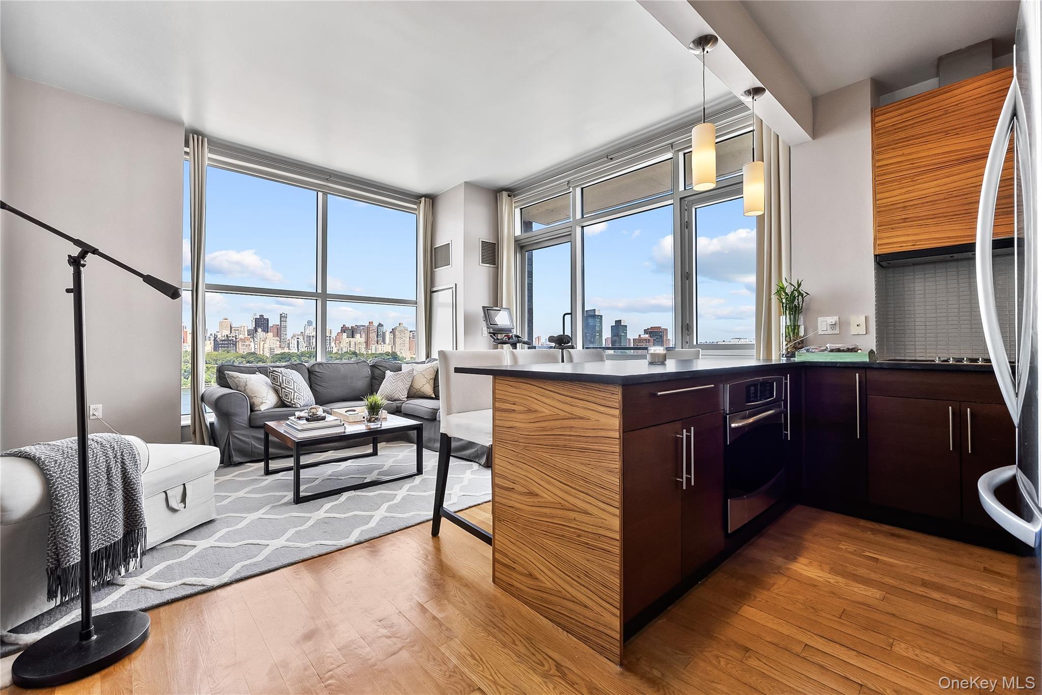 Condo 31  Queens, NY 11106, MLS-900591-9