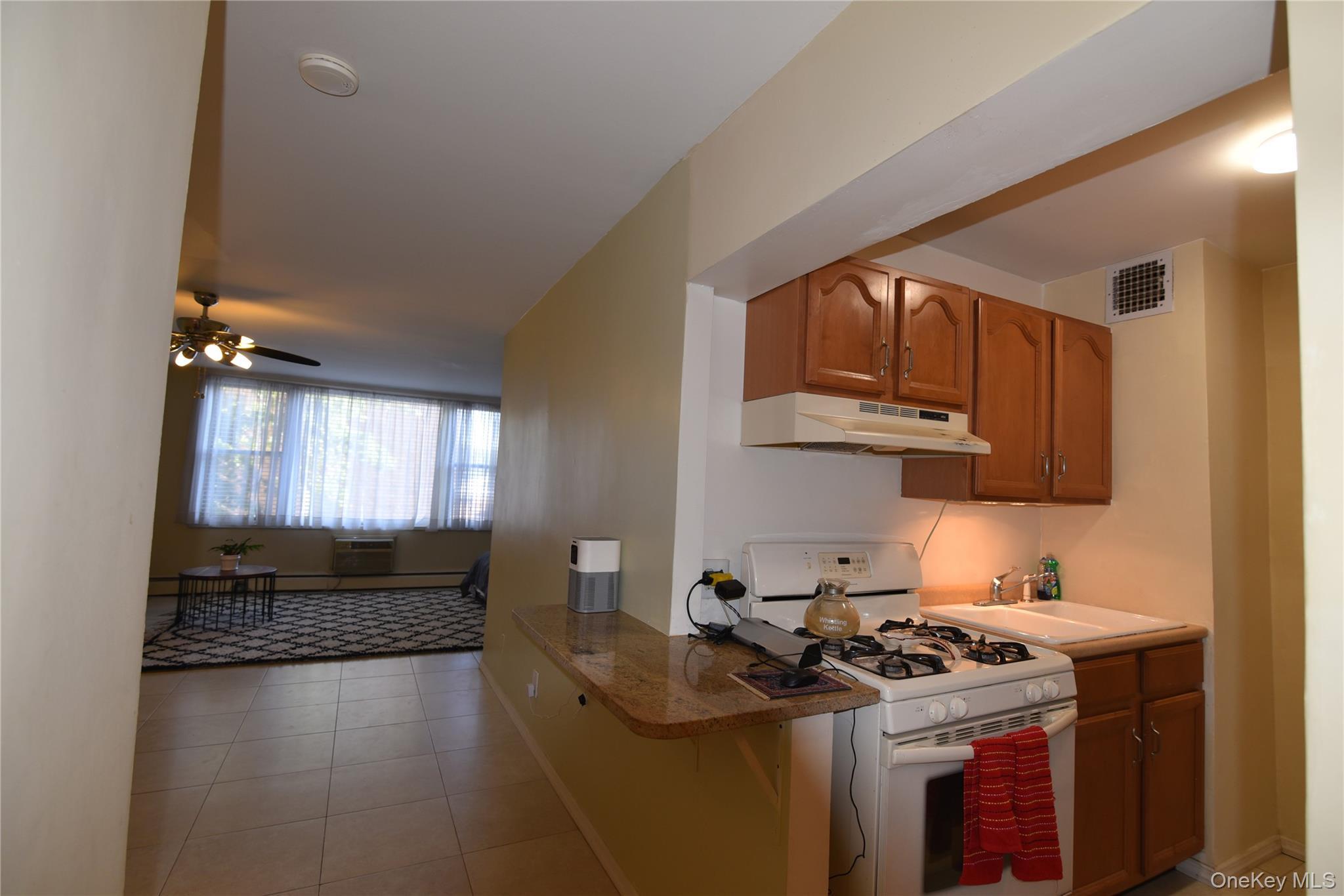 Apartment Little Neck  Queens, NY 11362, MLS-900613-16