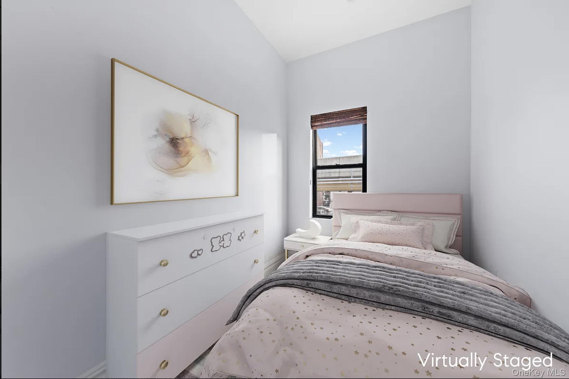 Single Family Park Brooklyn, NY 11205, MLS-900700-7