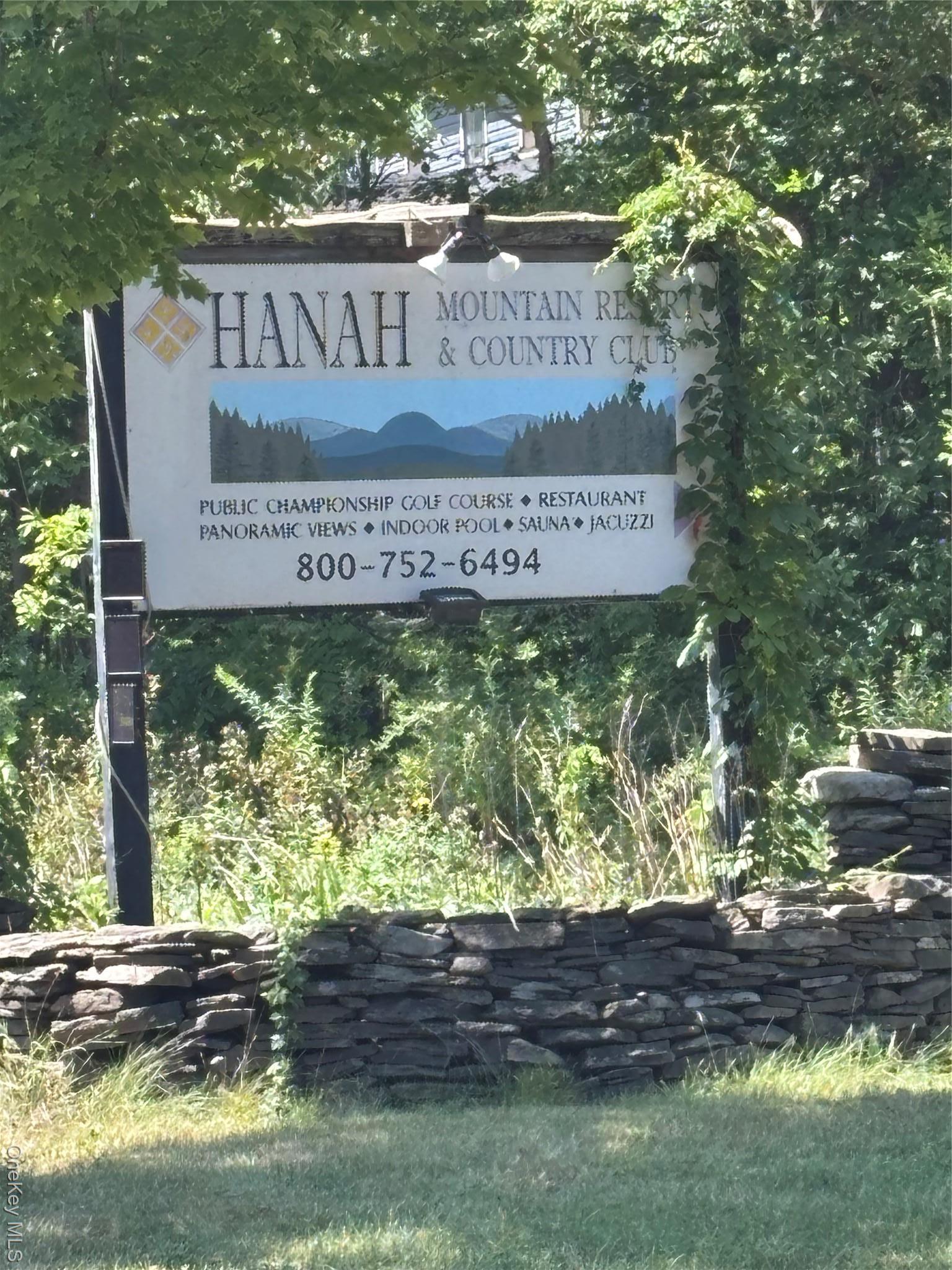 Single Family Mcguire  Delaware County, NY 12455, MLS-900769-17