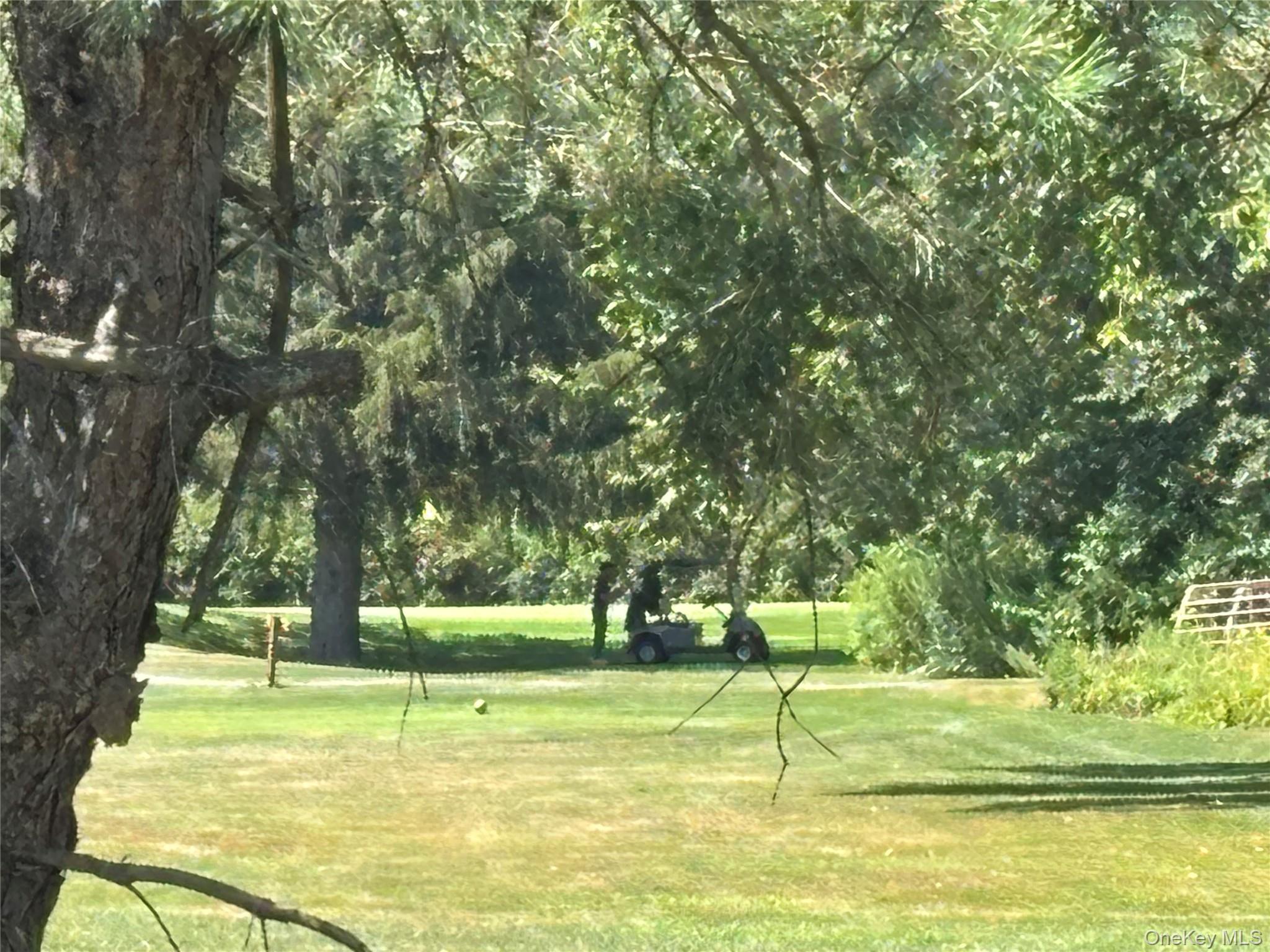 Single Family Mcguire  Delaware County, NY 12455, MLS-900769-18