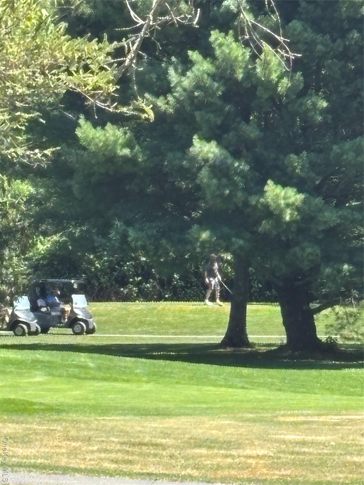 Single Family Mcguire  Delaware County, NY 12455, MLS-900769-19