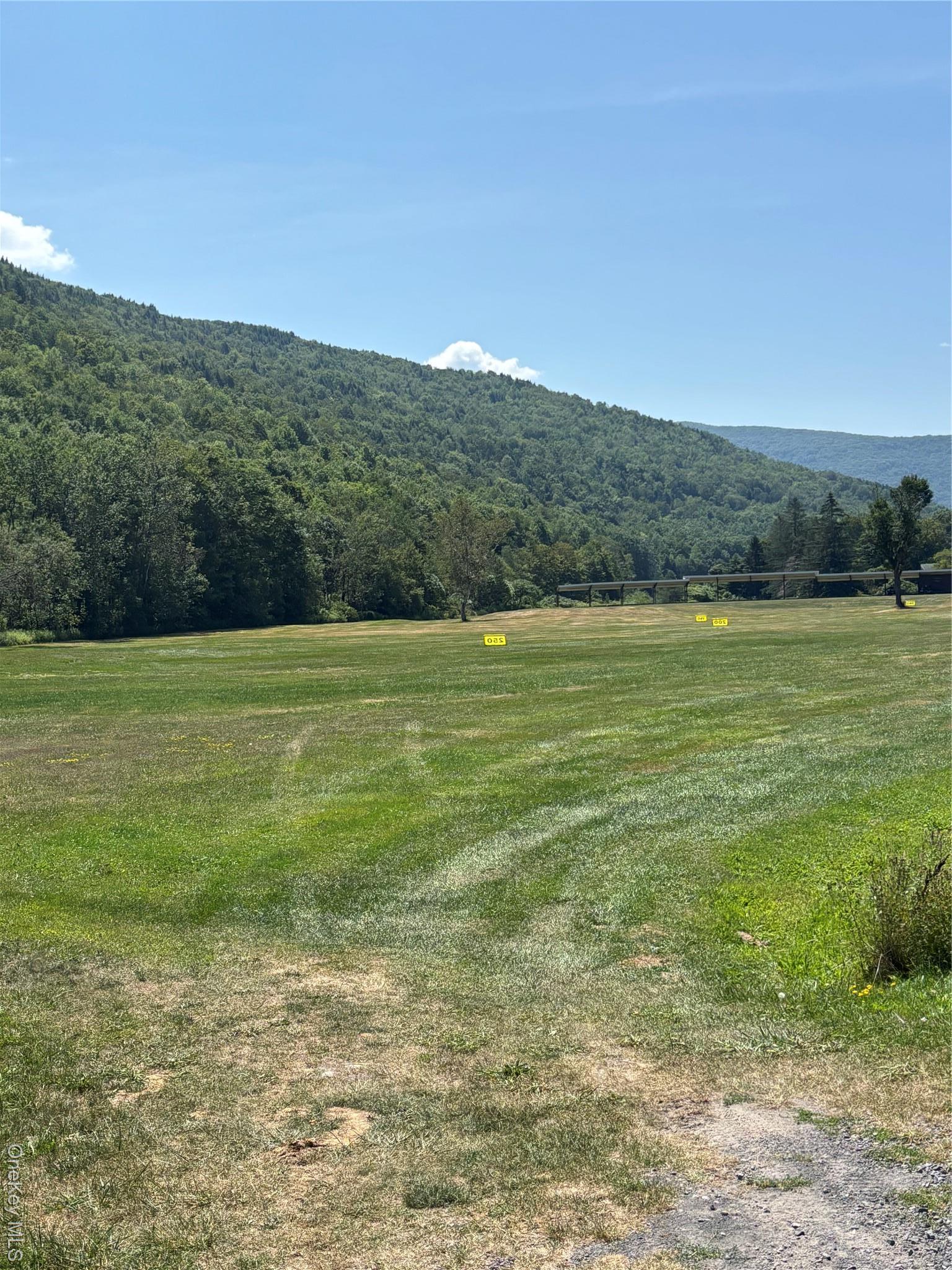 Single Family Mcguire  Delaware County, NY 12455, MLS-900769-20