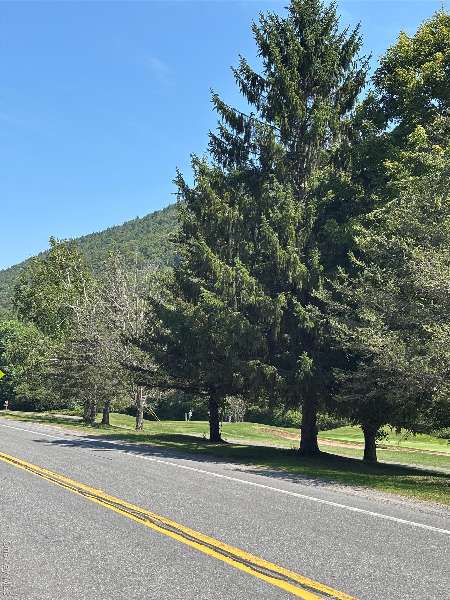 Single Family Mcguire  Delaware County, NY 12455, MLS-900769-21