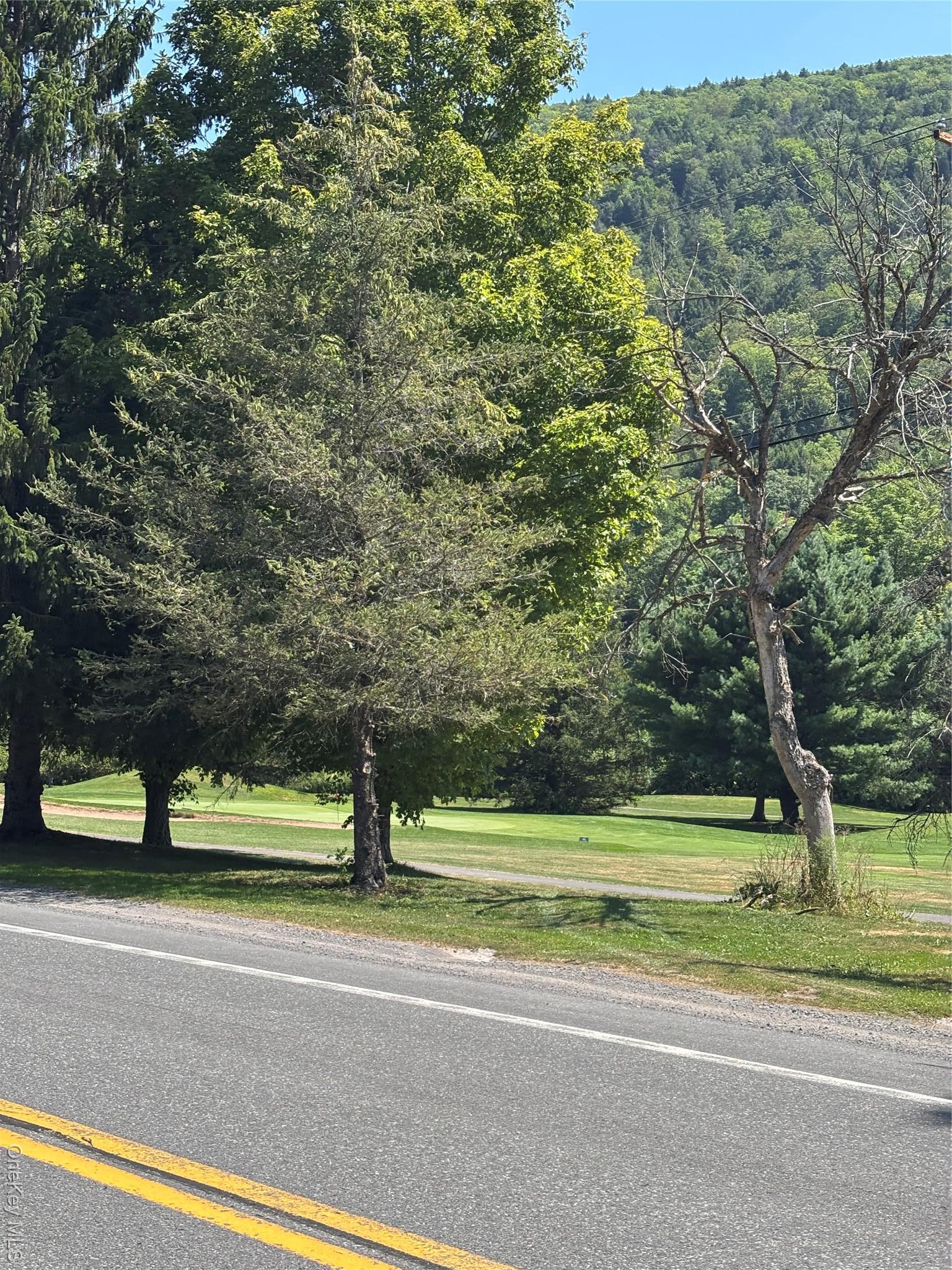 Single Family Mcguire  Delaware County, NY 12455, MLS-900769-22