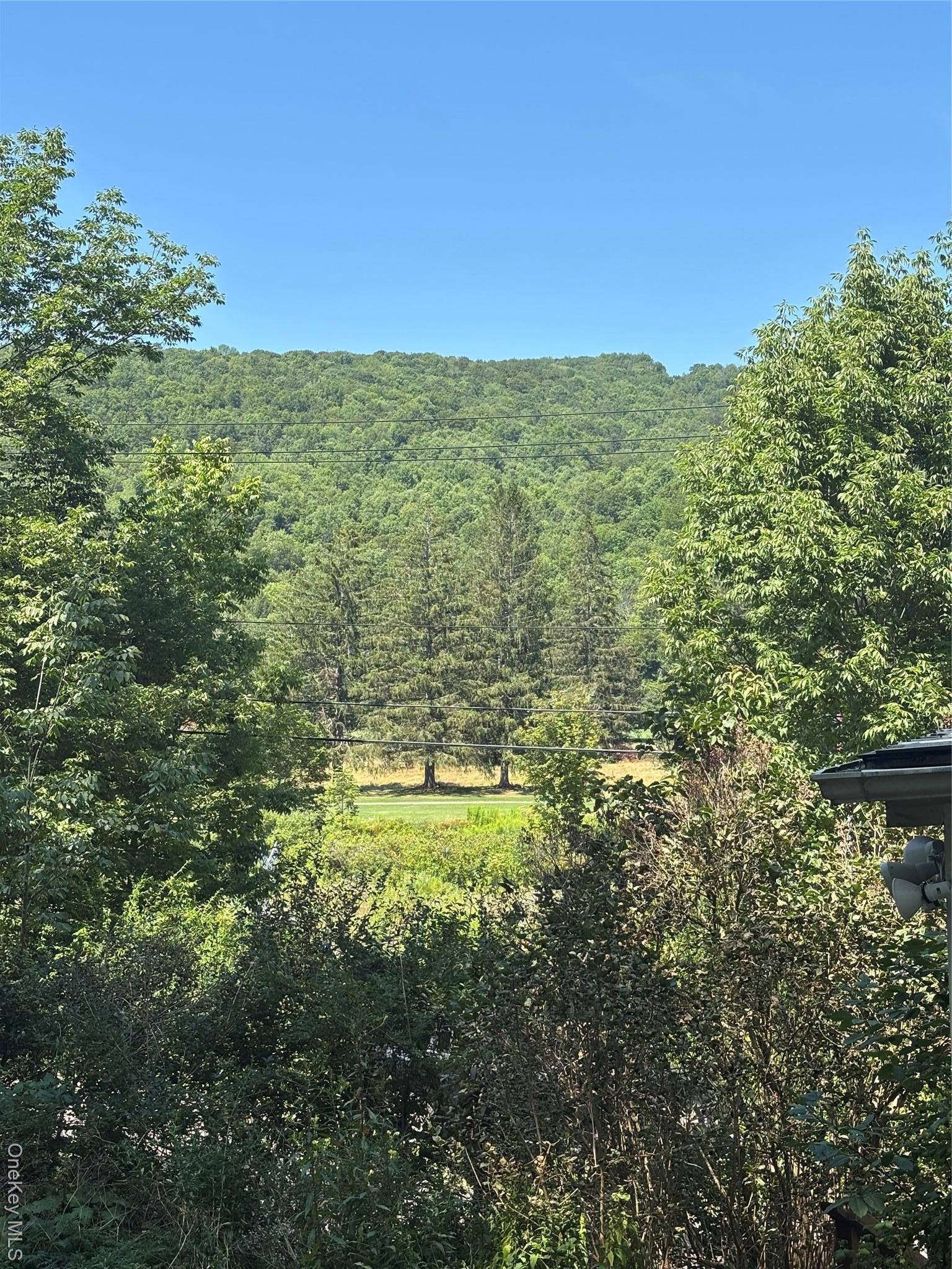 Single Family Mcguire  Delaware County, NY 12455, MLS-900769-3