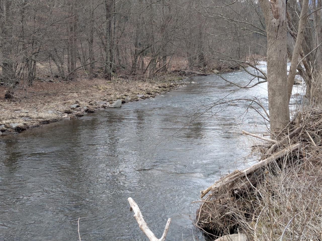 Single Family State Highway 28  Delaware County, NY 12455, MLS-900795-4