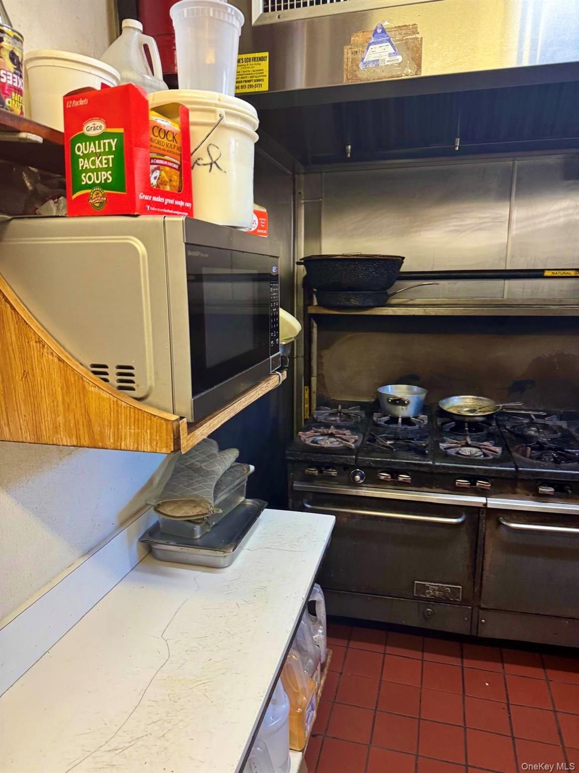 Business Opportunity White Plains  Bronx, NY 10466, MLS-900818-5