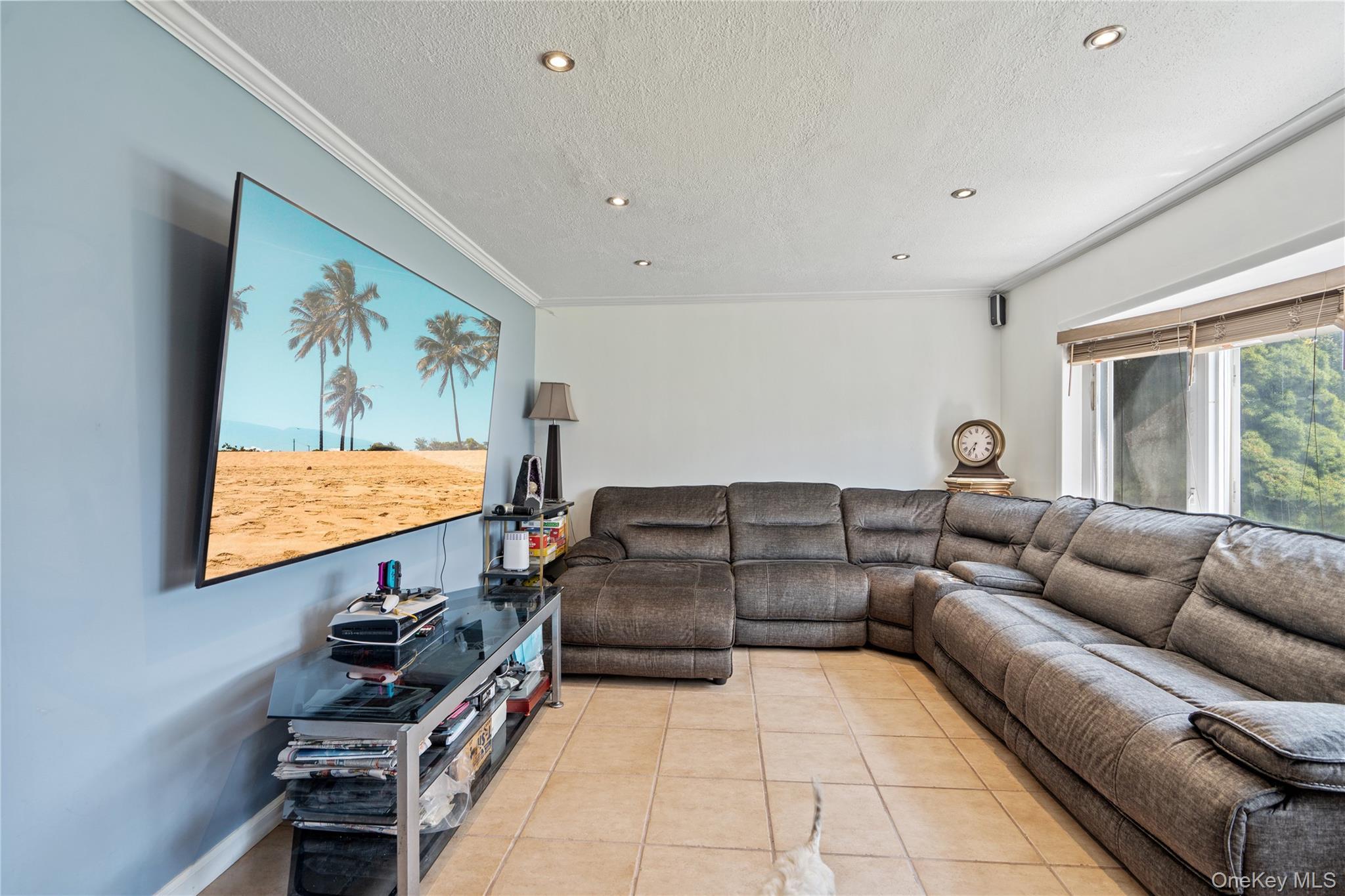 Single Family Rugby Nassau County, NY 11758, MLS-900927-6