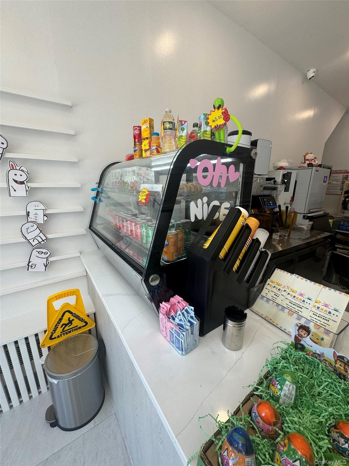 Business Opportunity 3rd Brooklyn, NY 11209, MLS-901125-4