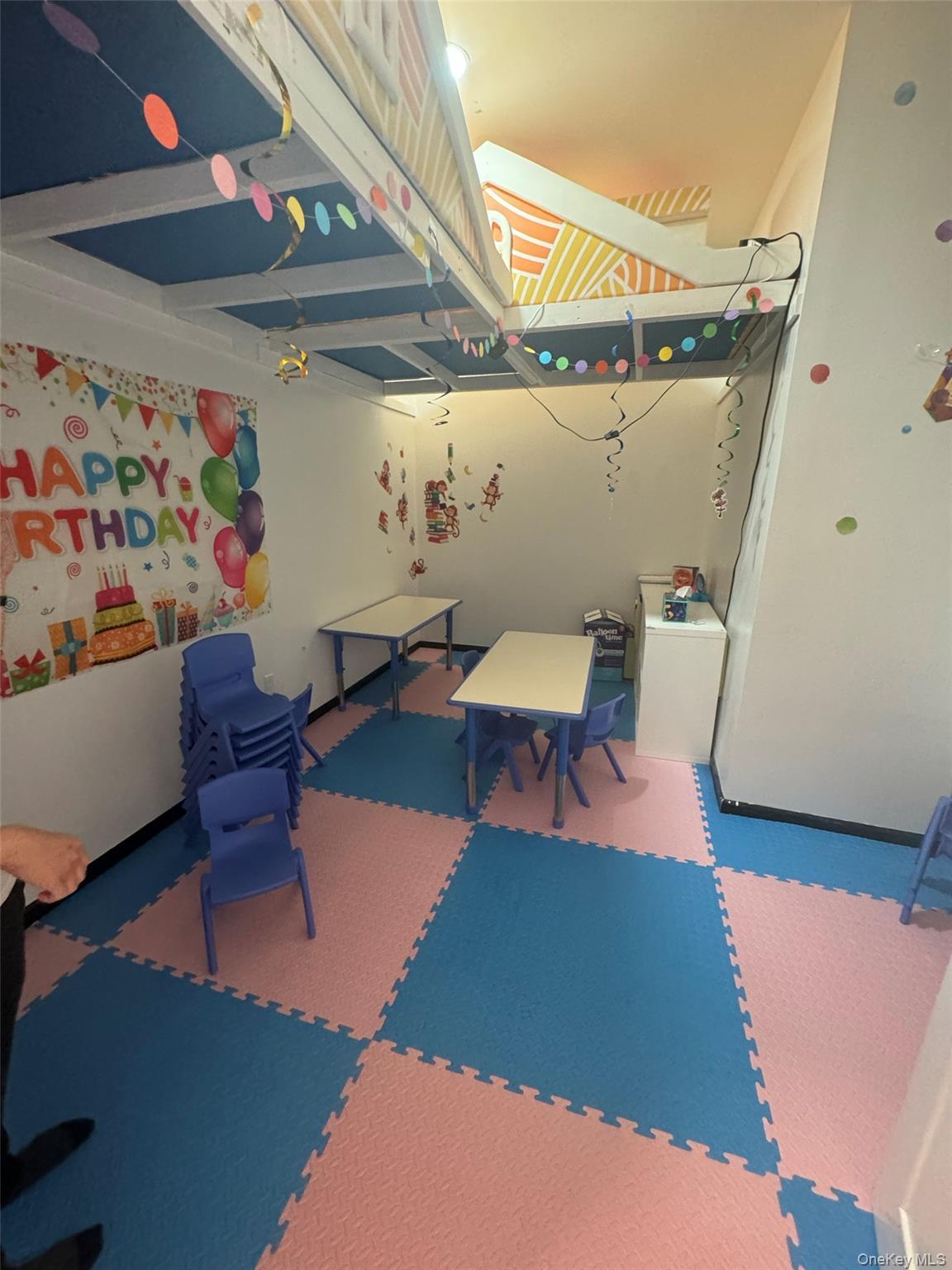 Business Opportunity 3rd Brooklyn, NY 11209, MLS-901125-8