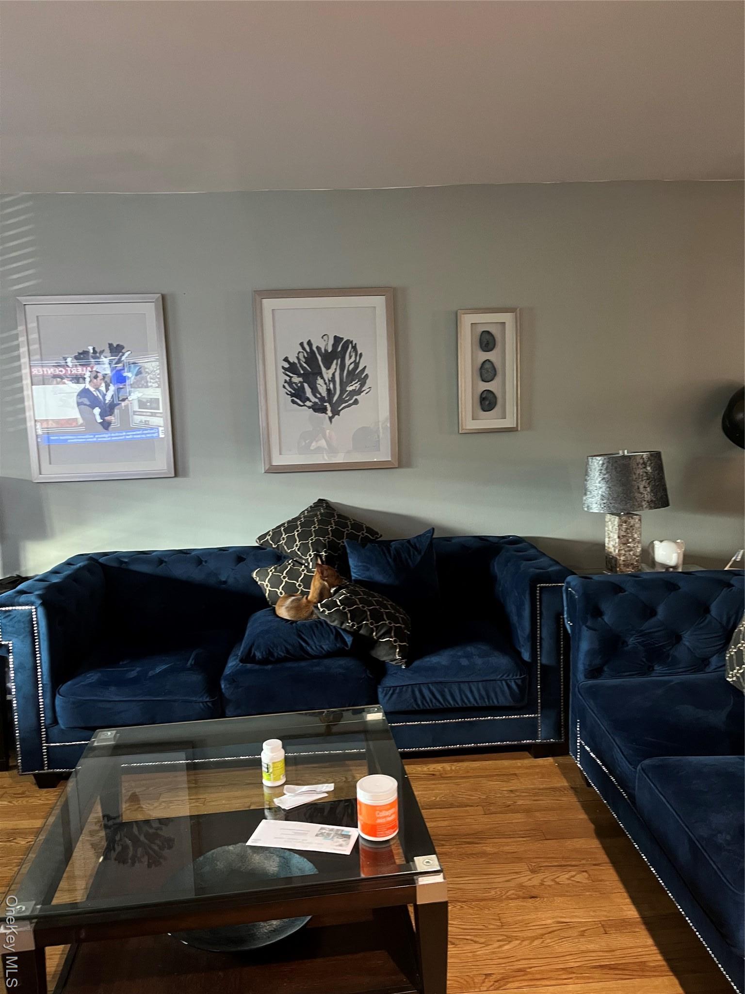 Single Family Radcliff Avenue  Bronx, NY 10469, MLS-901551-2