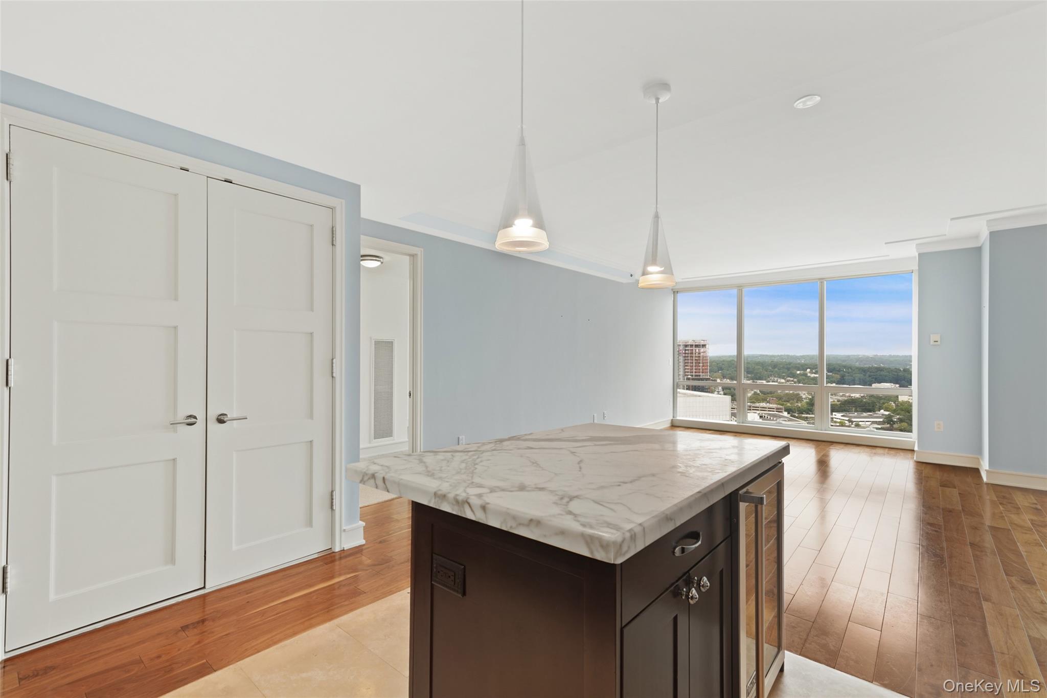 Condo Renaissance  Westchester County, NY 10601, MLS-901560-11
