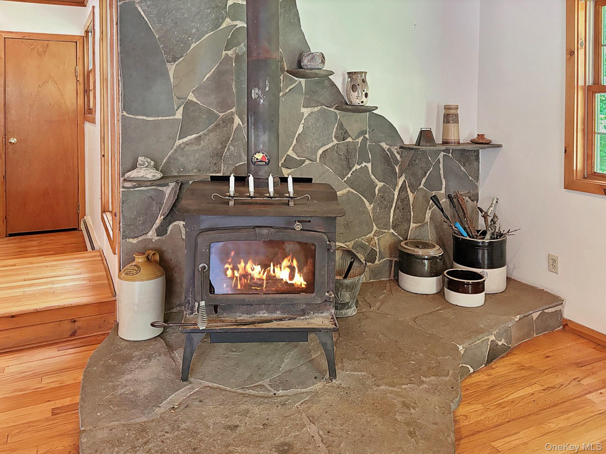 Single Family Elka Park  Greene County, NY 12472, MLS-901589-12