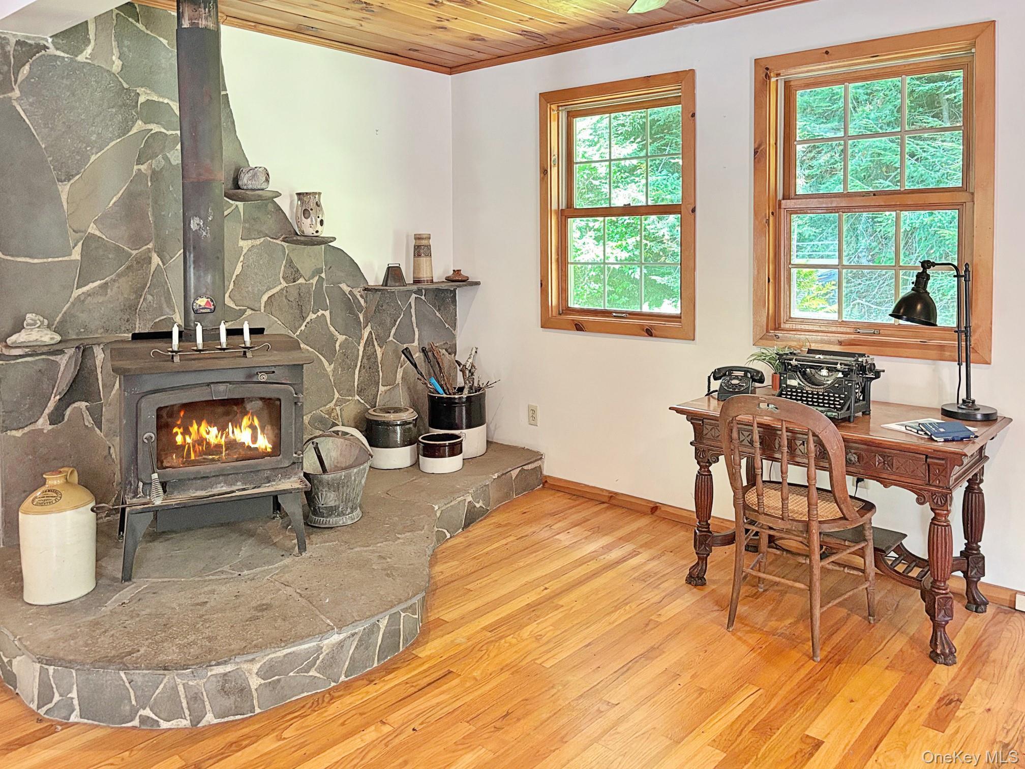 Single Family Elka Park  Greene County, NY 12472, MLS-901589-13