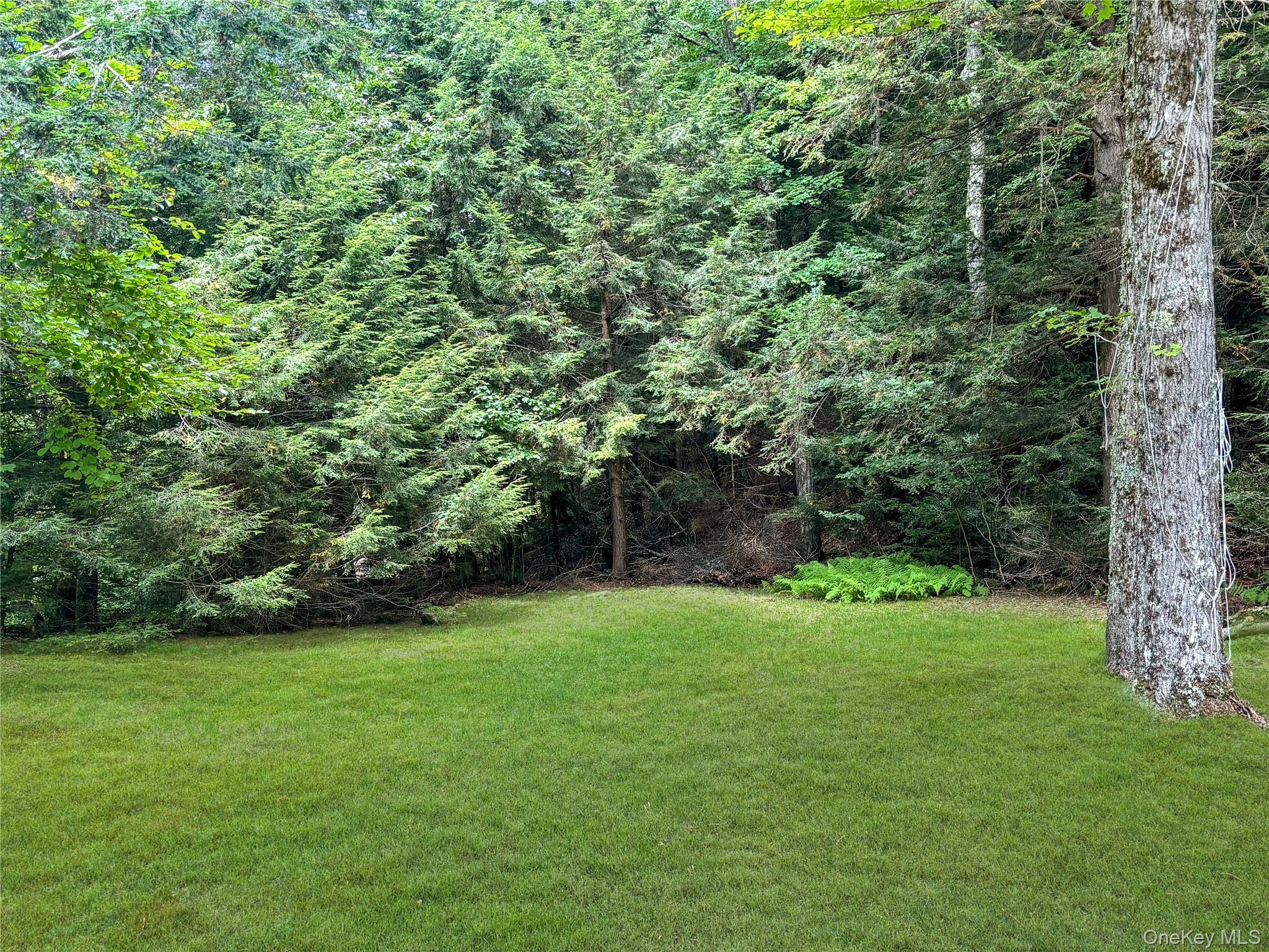 Single Family Elka Park  Greene County, NY 12472, MLS-901589-26