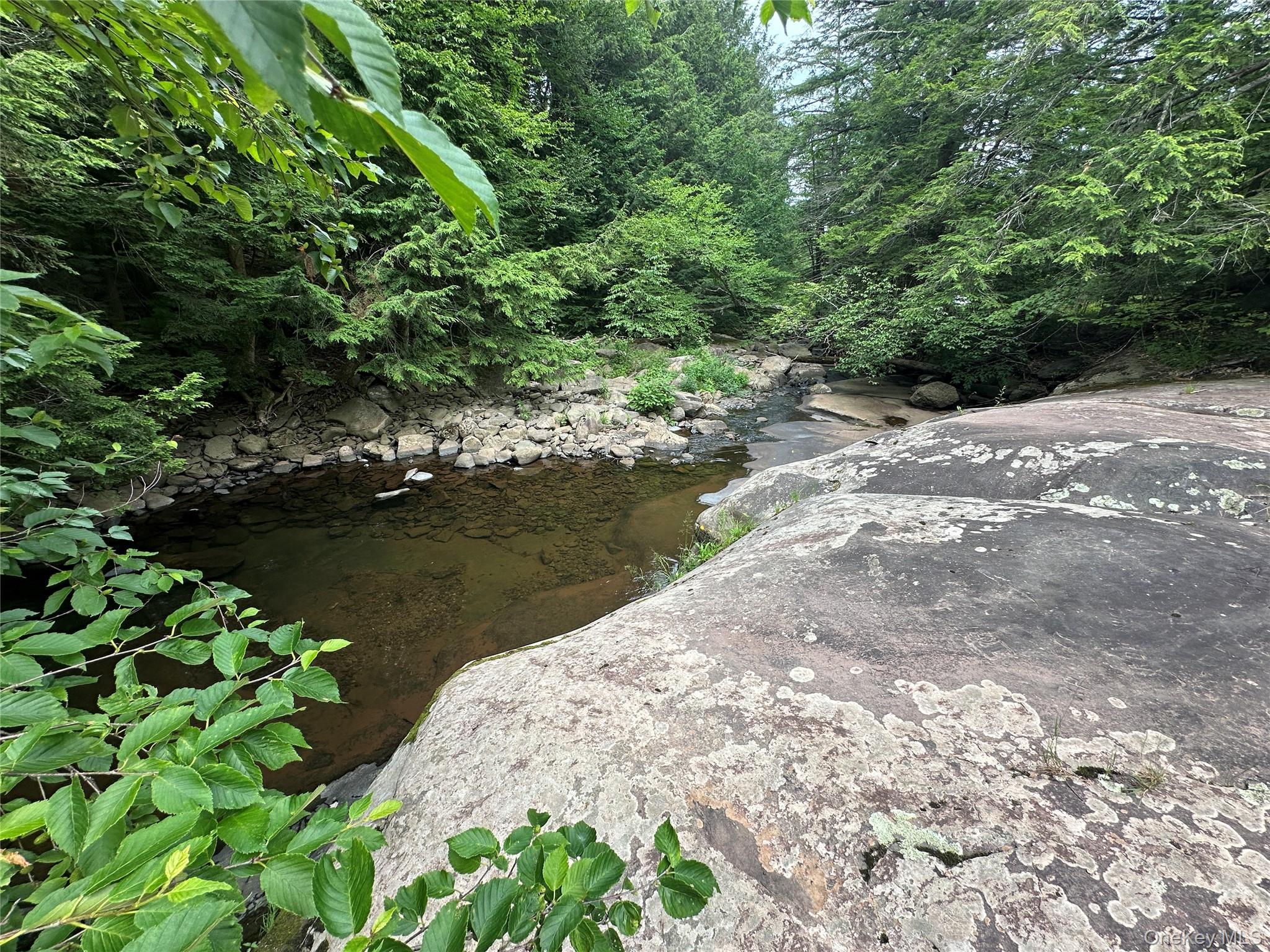 Single Family Elka Park  Greene County, NY 12472, MLS-901589-30