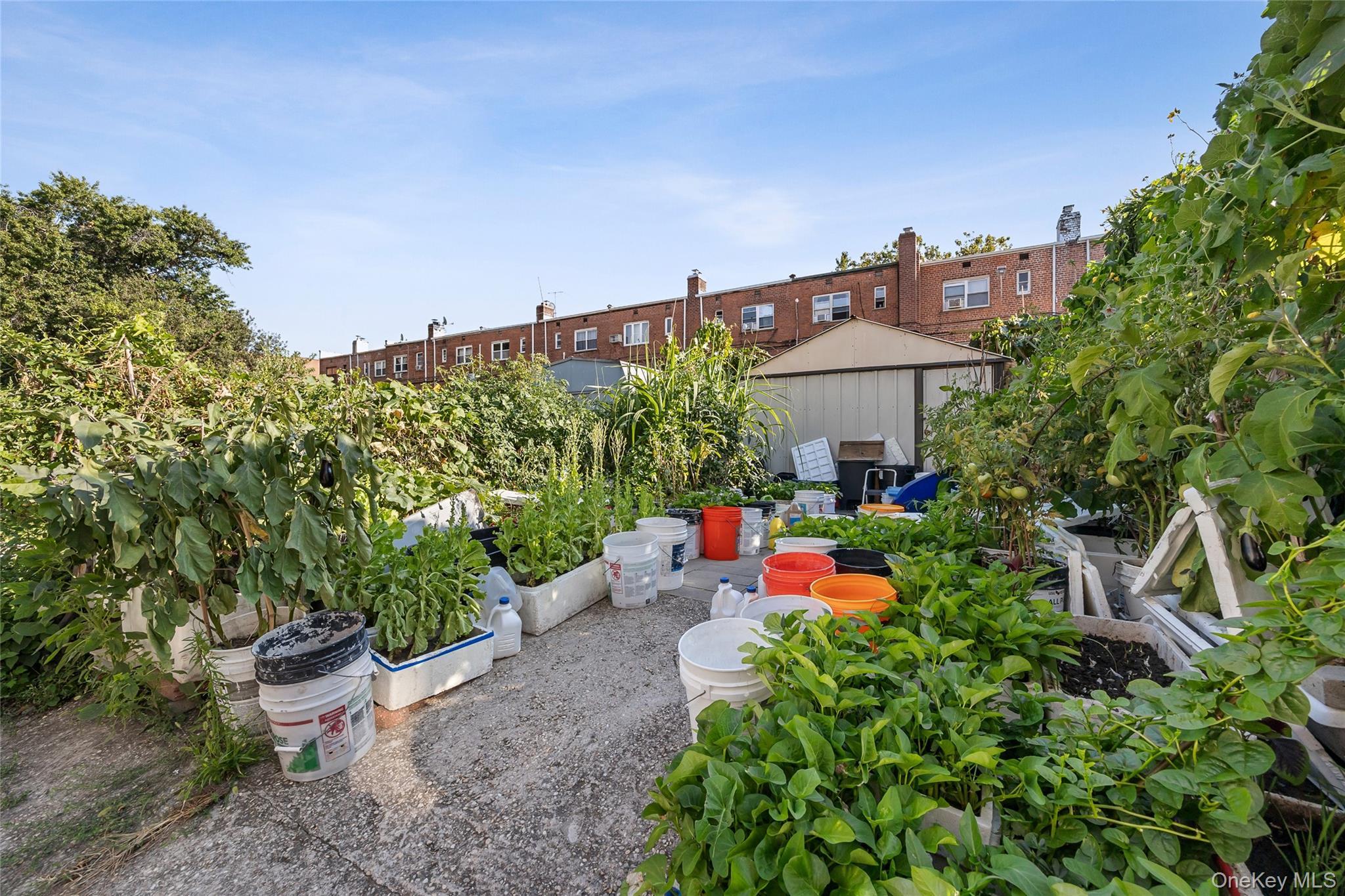 Single Family Booth Memorial  Queens, NY 11355, MLS-901627-23