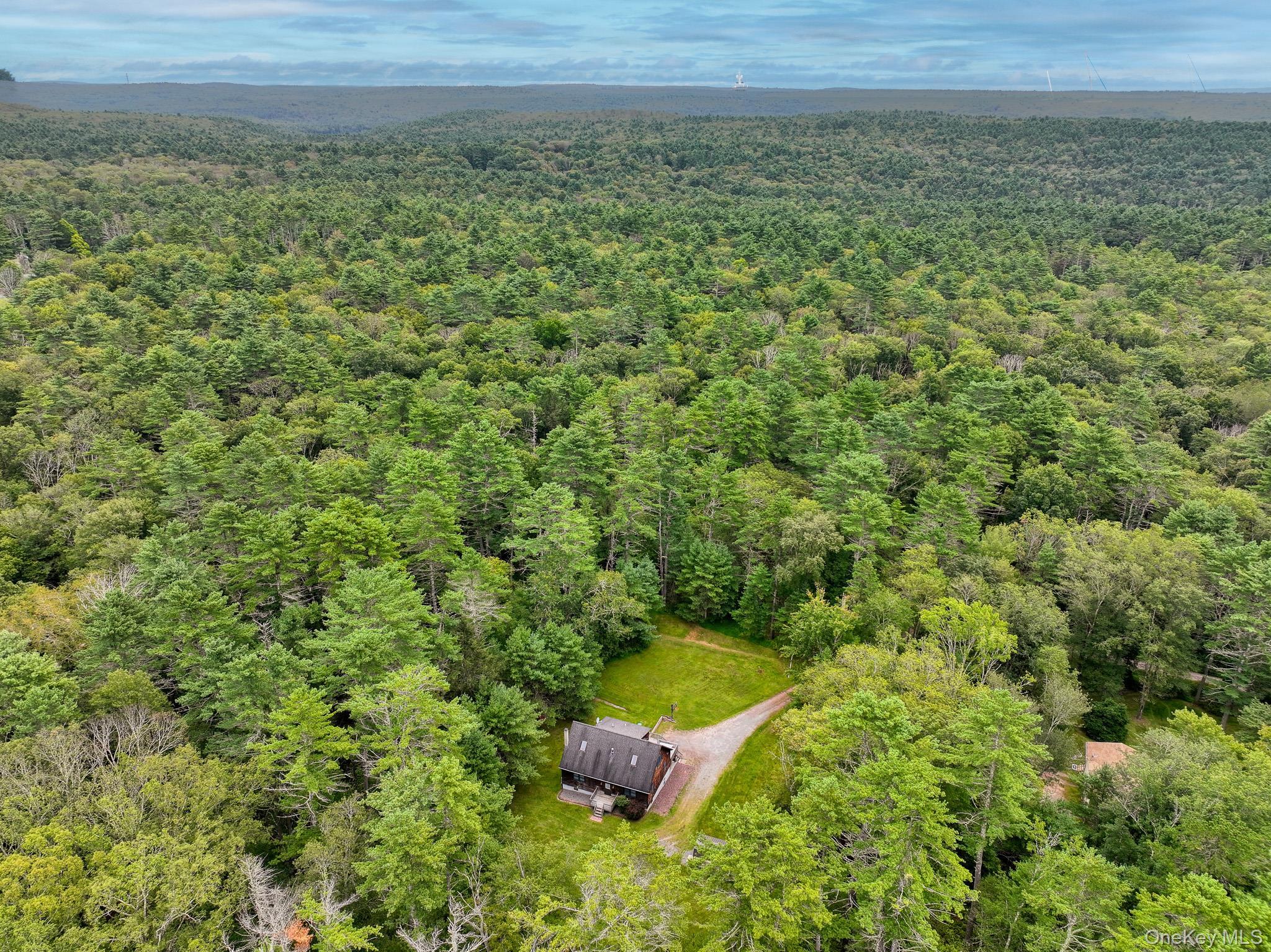 Single Family Yulan Barryville Sullivan County, NY 12719, MLS-901735-31